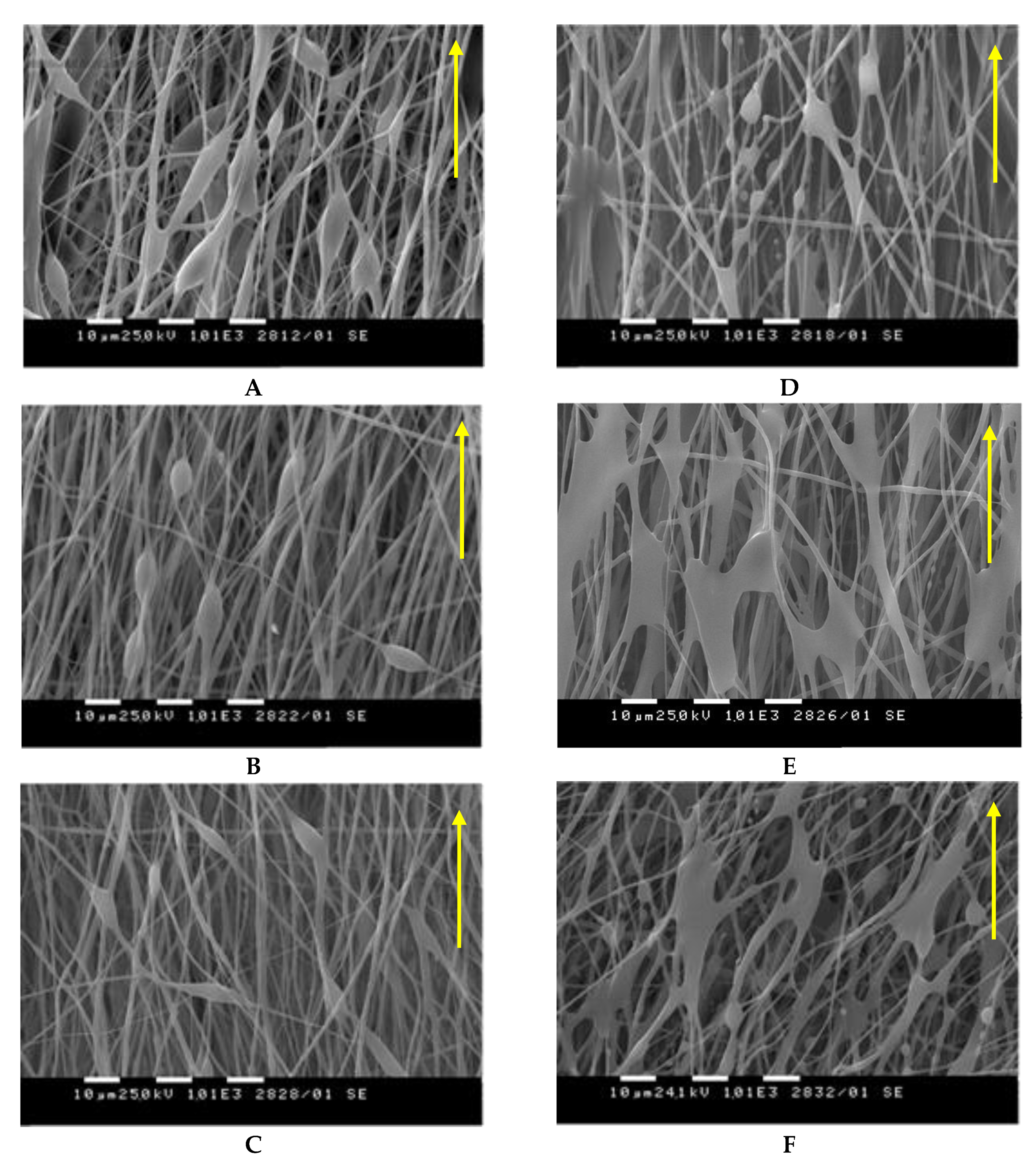 Polymers 12 00693 g004