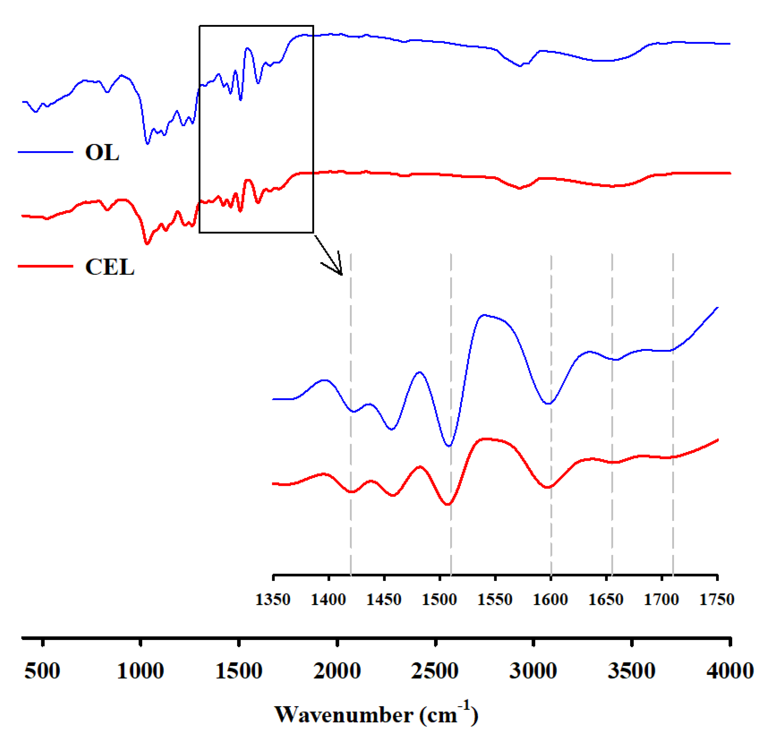 Polymers 12 00699 g002