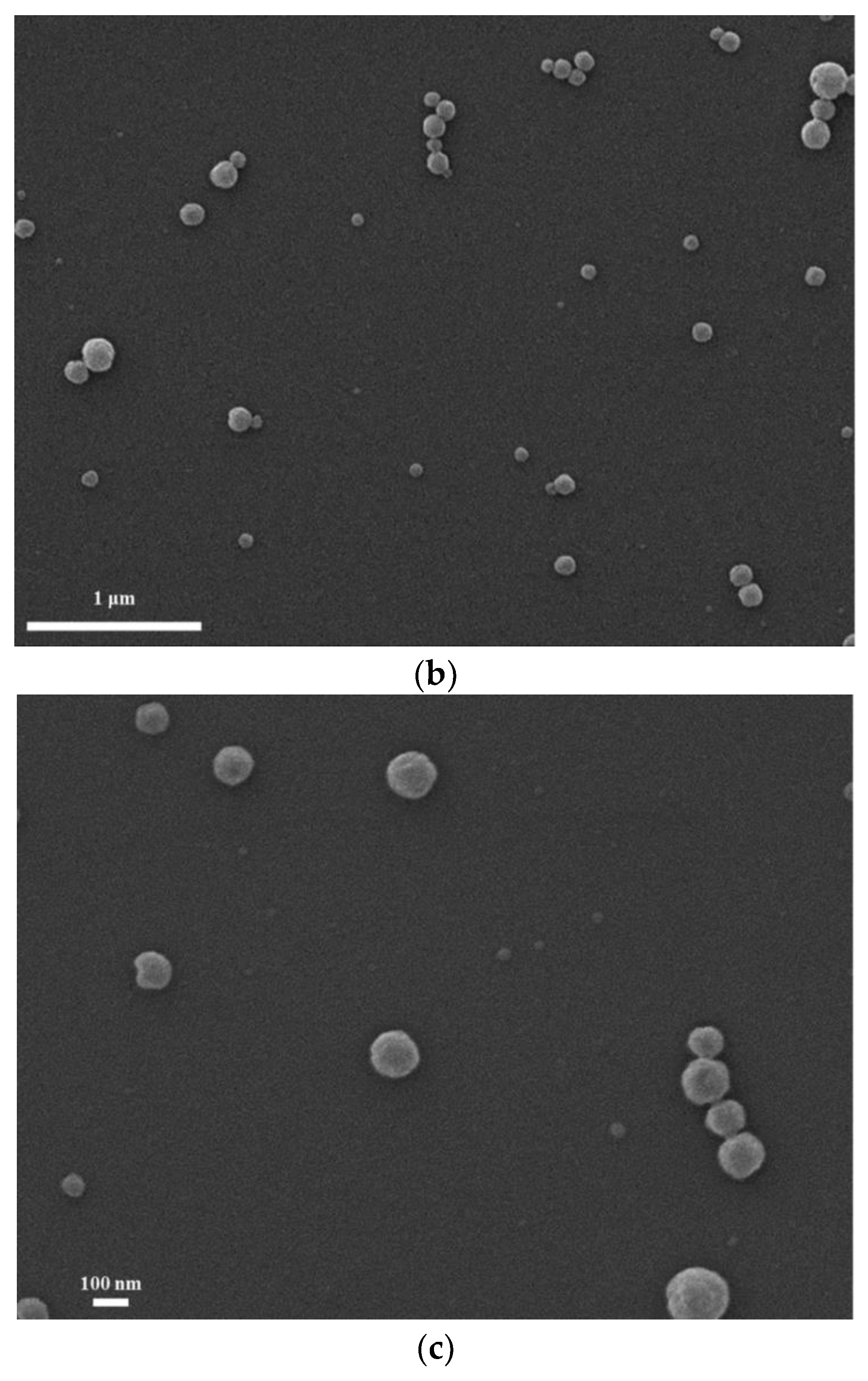 Polymers 12 00699 g003b