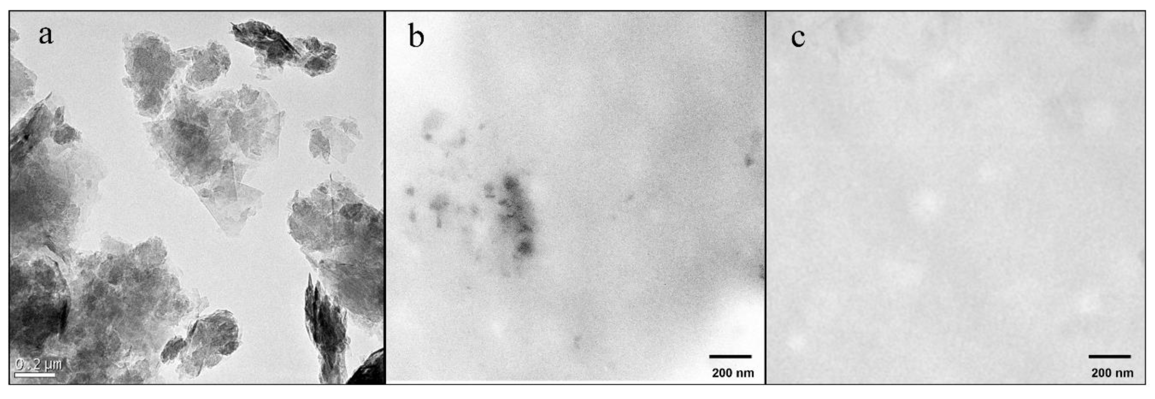 Polymers 12 00702 g001