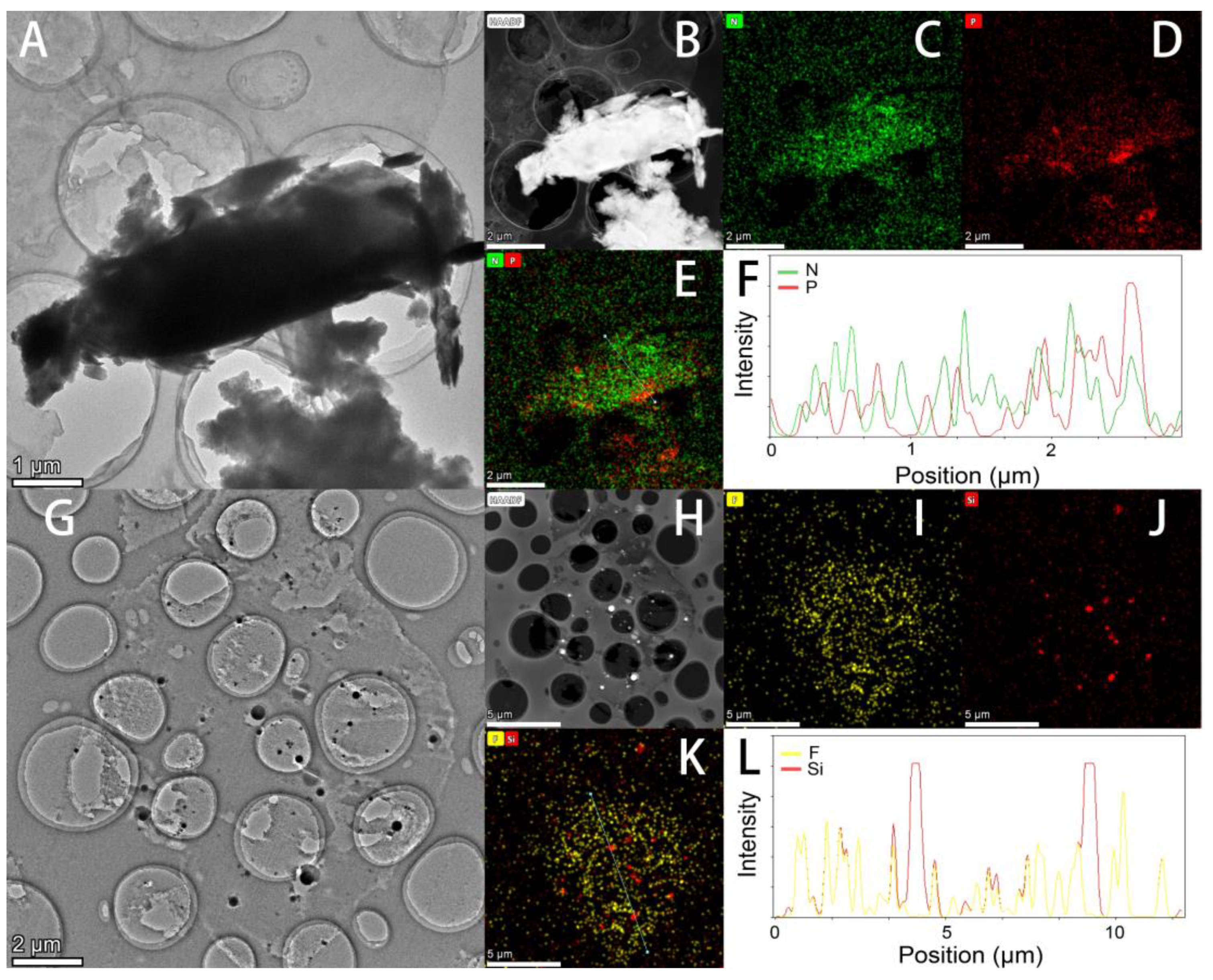 Polymers 12 00703 g002