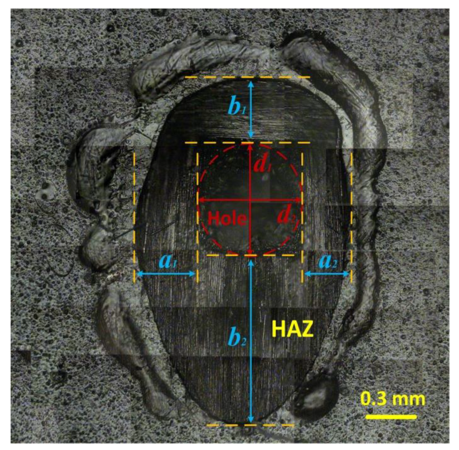 Polymers 12 00706 g003