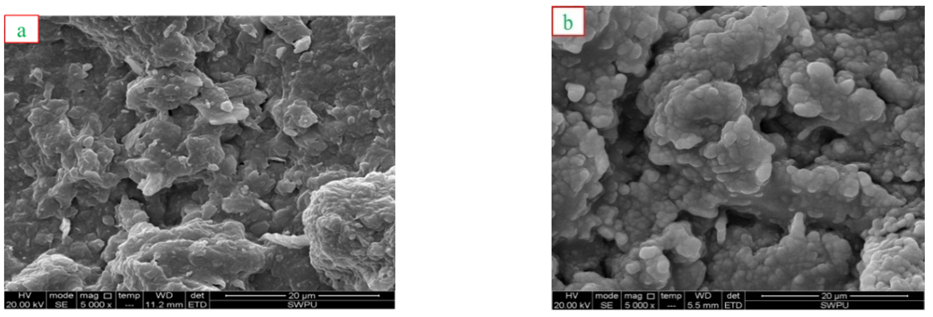 Polymers 12 00708 g011