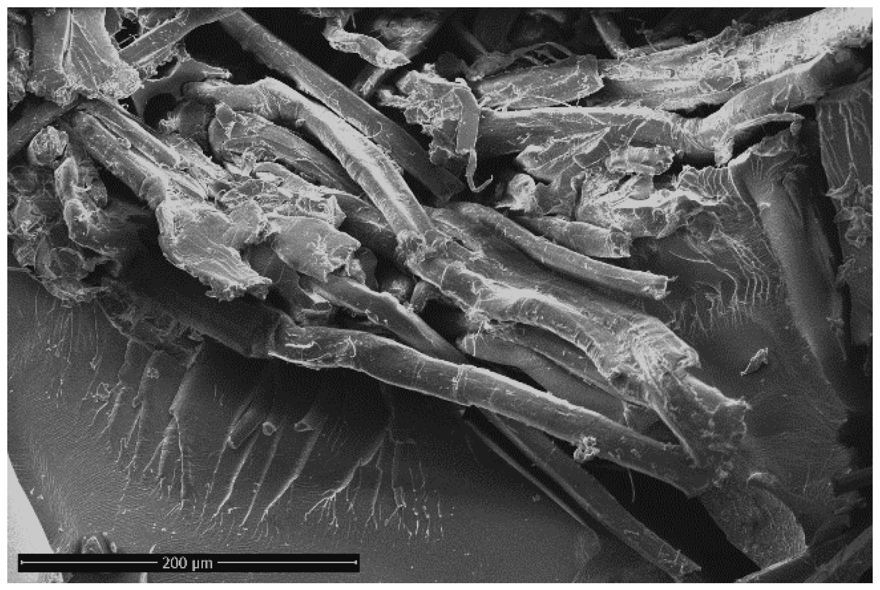 Polymers 12 00716 g003