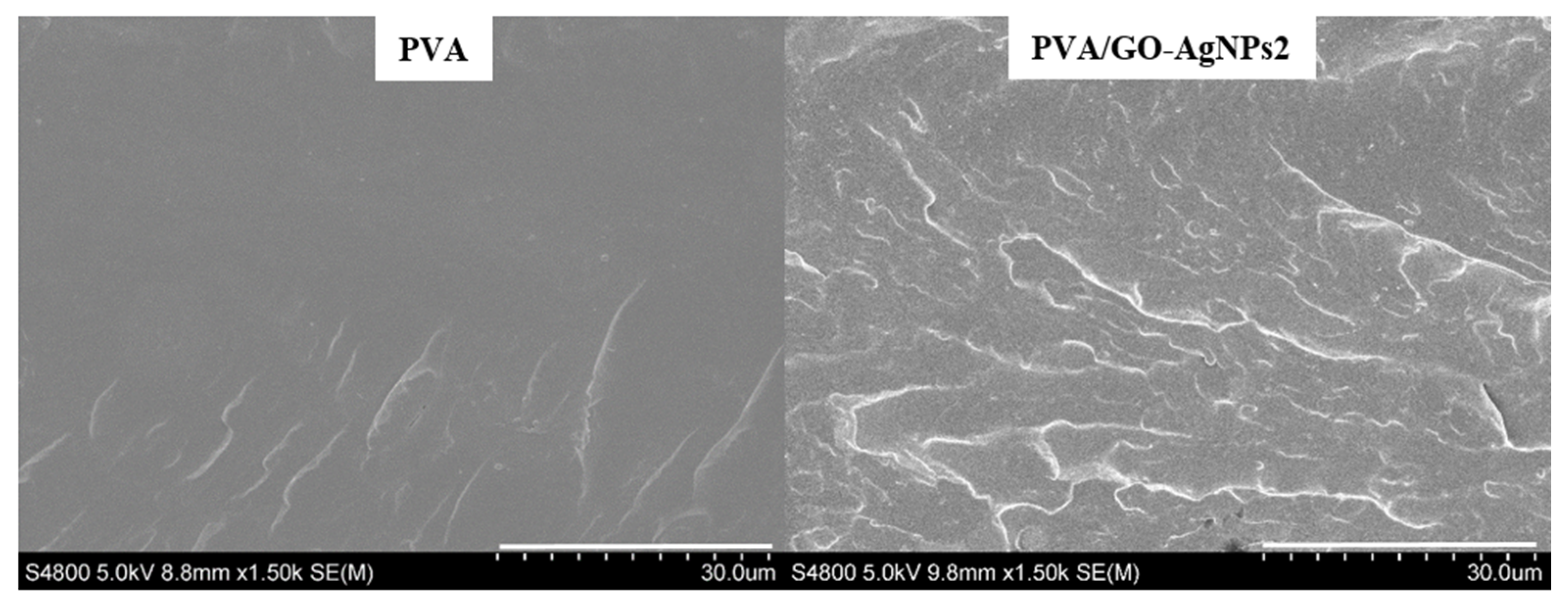 Polymers 12 00723 g002