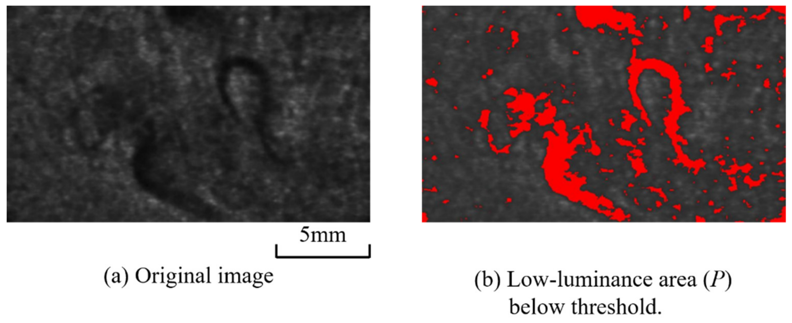 Polymers 12 00727 g007
