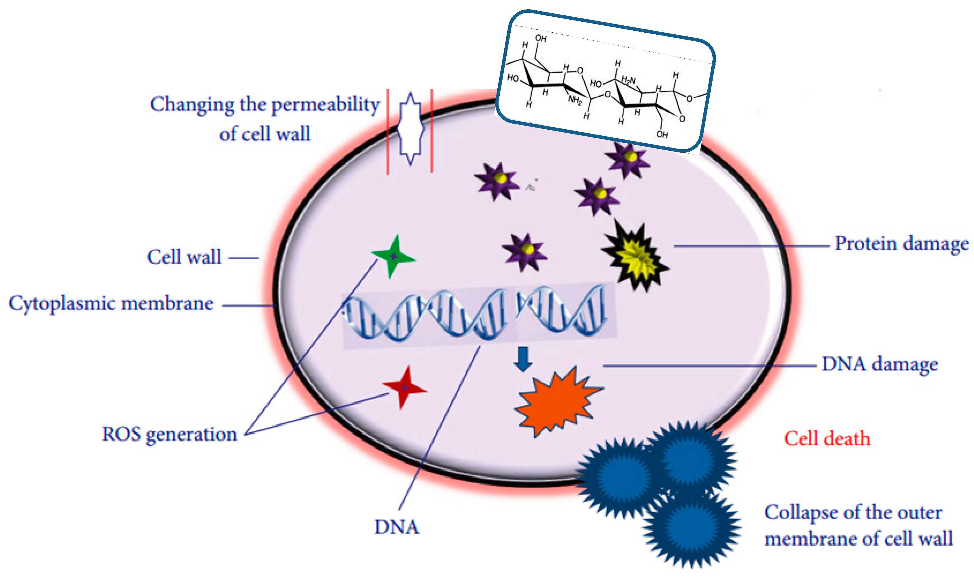 Polymers 12 00731 g001