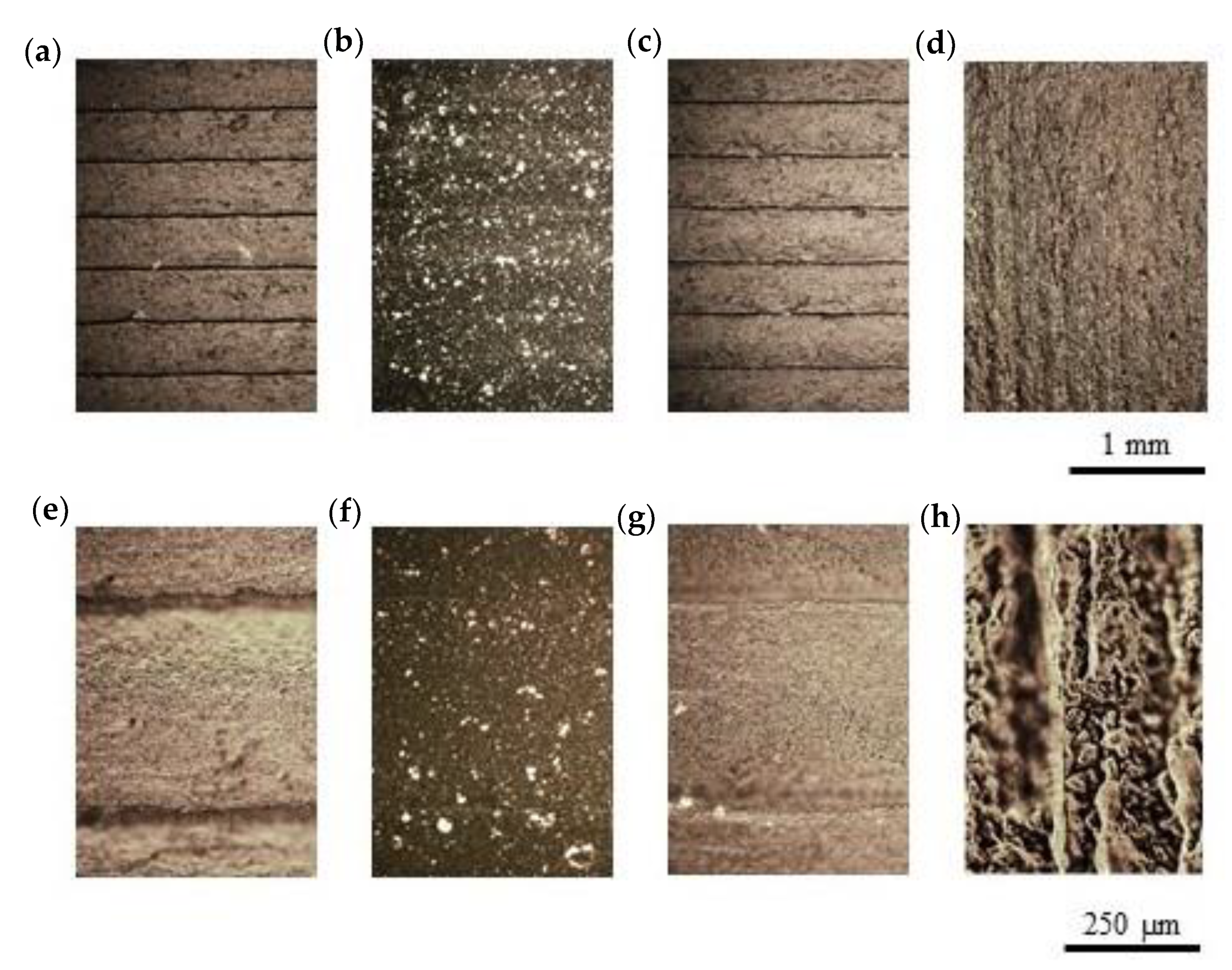 Polymers 12 00733 g010 Polymers 12 00733 g010