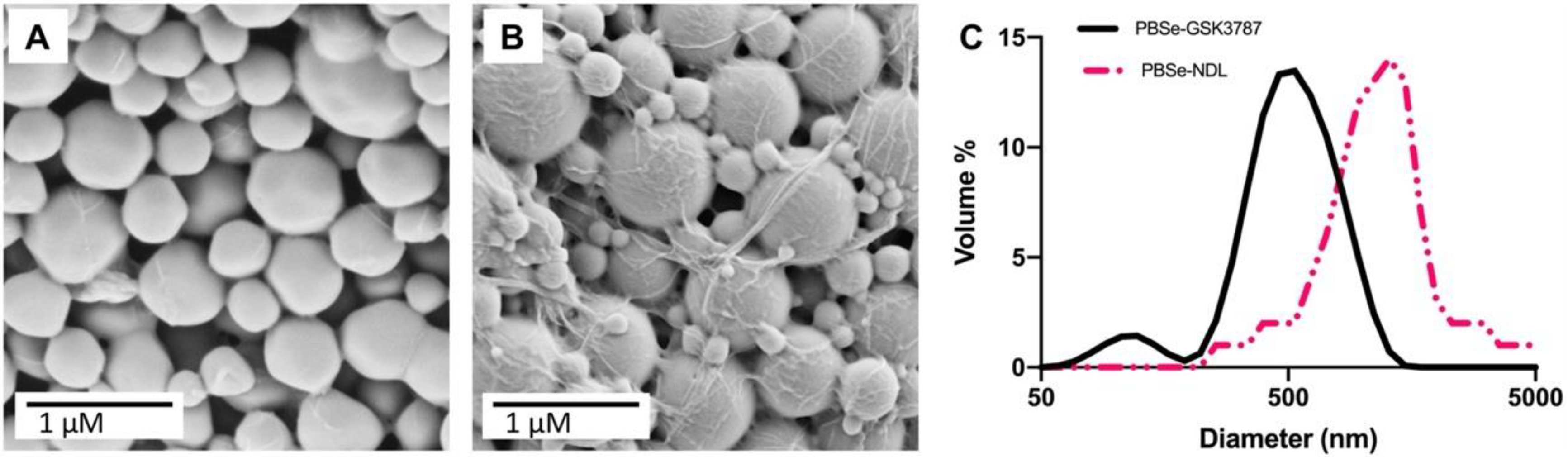 Polymers 12 00736 g002 Polymers 12 00736 g002