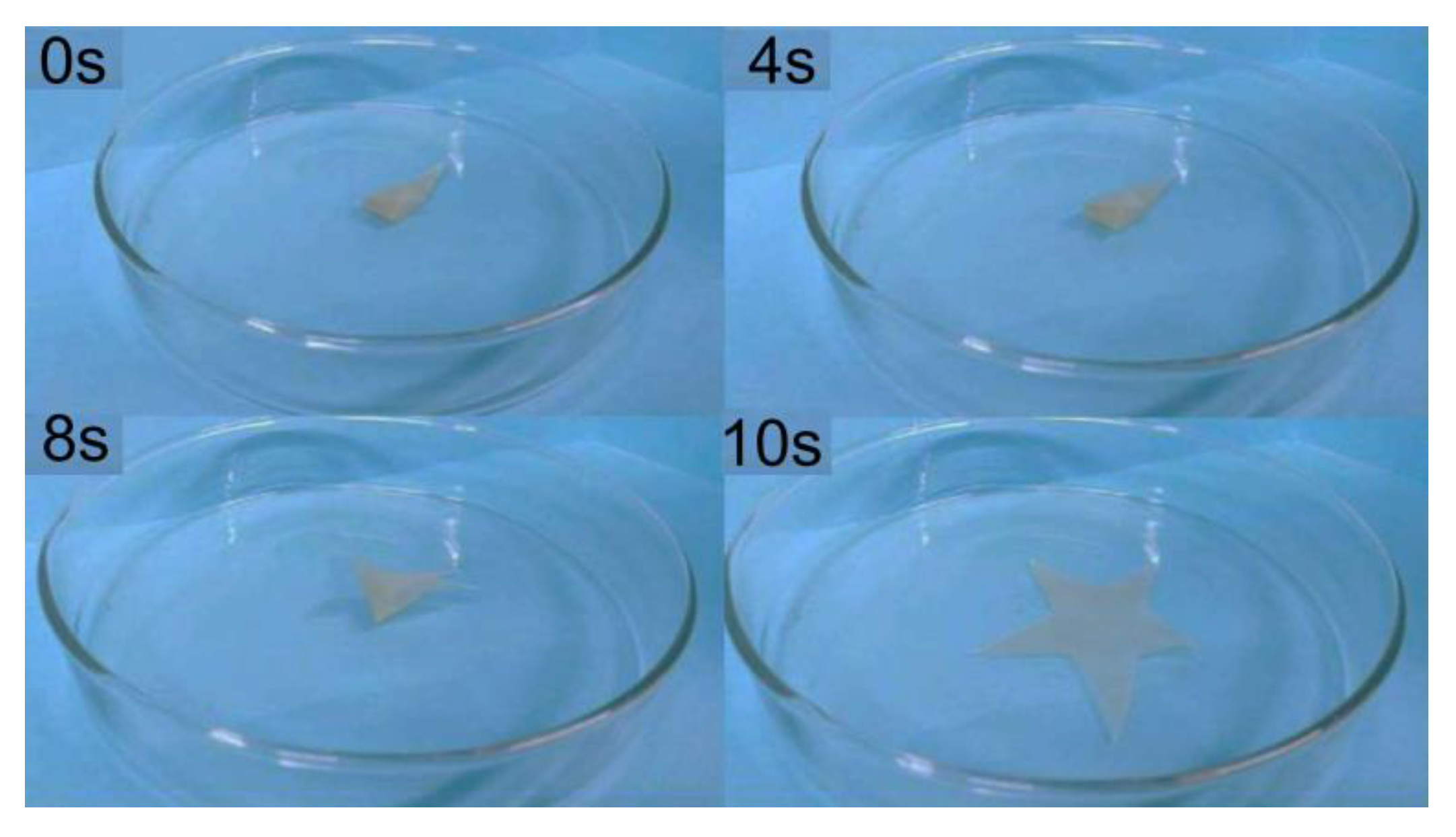 Polymers 12 00740 g006