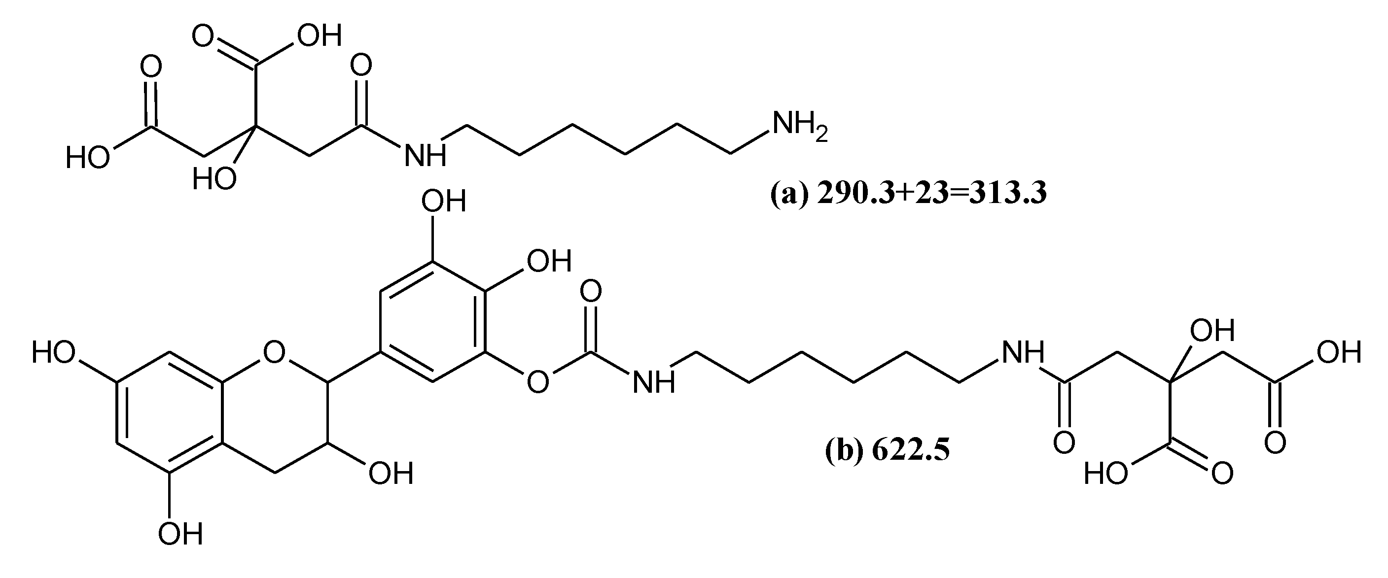 Polymers 12 00750 sch004 Polymers 12 00750 sch004