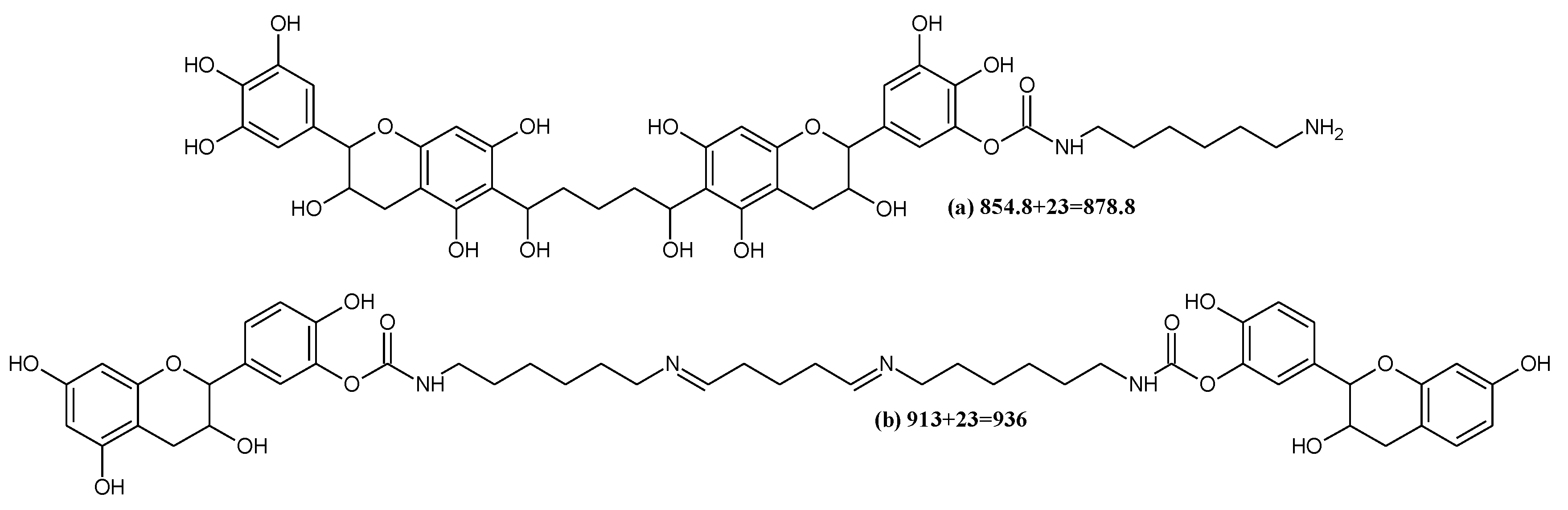 Polymers 12 00750 sch005 Polymers 12 00750 sch005