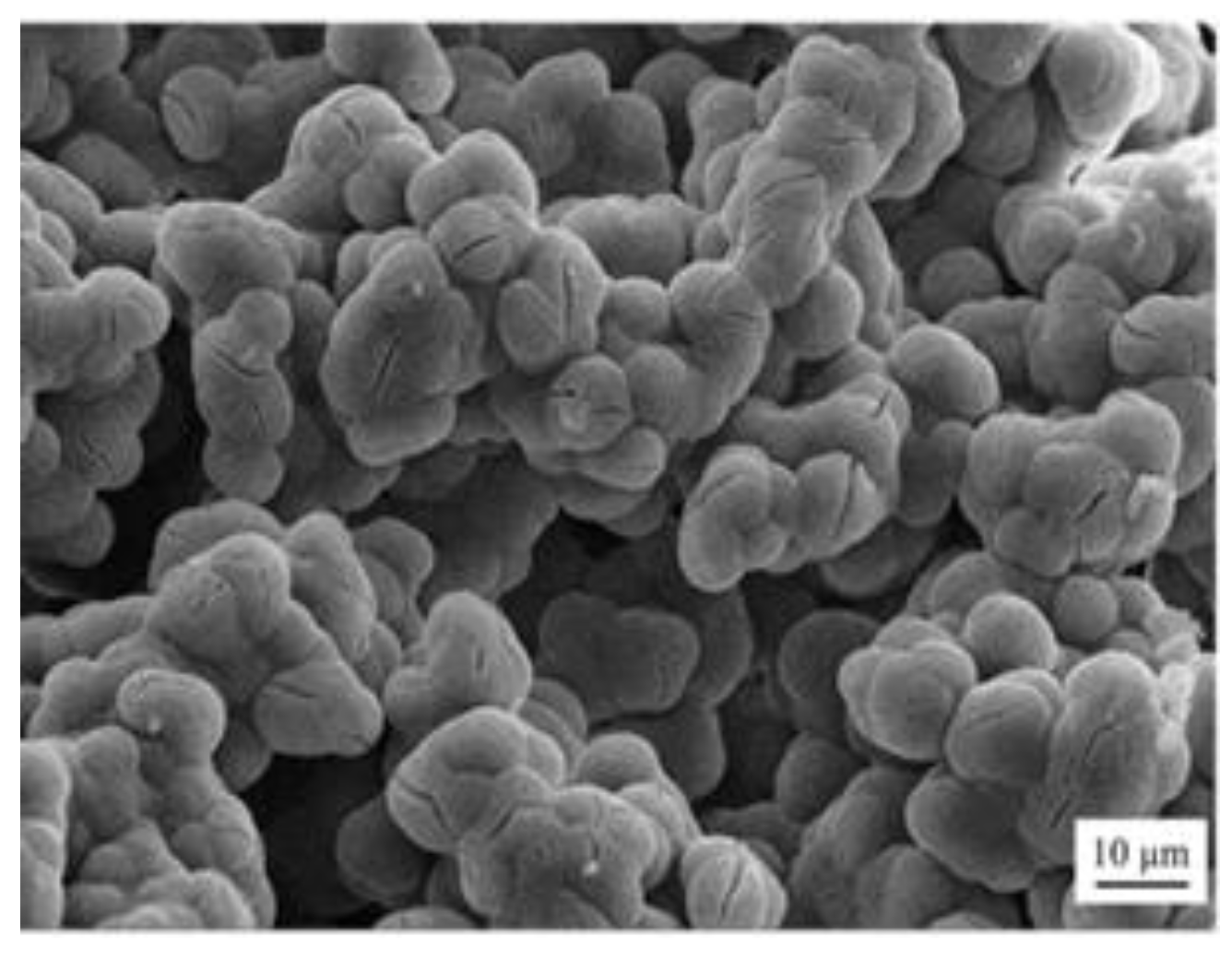 Polymers 12 00760 g008