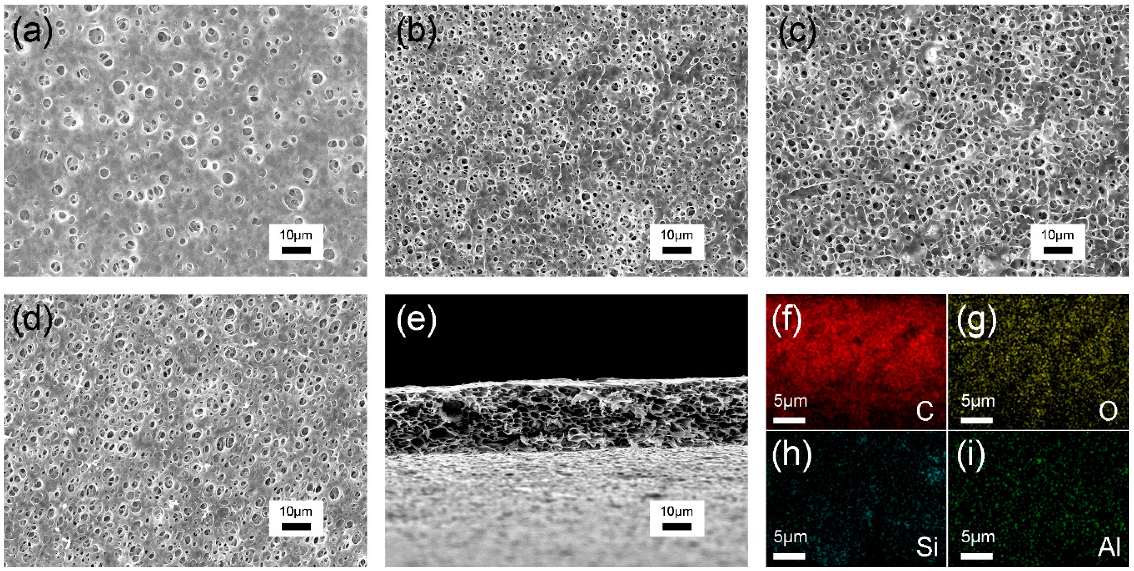 Polymers 12 00764 g002 Polymers 12 00764 g002