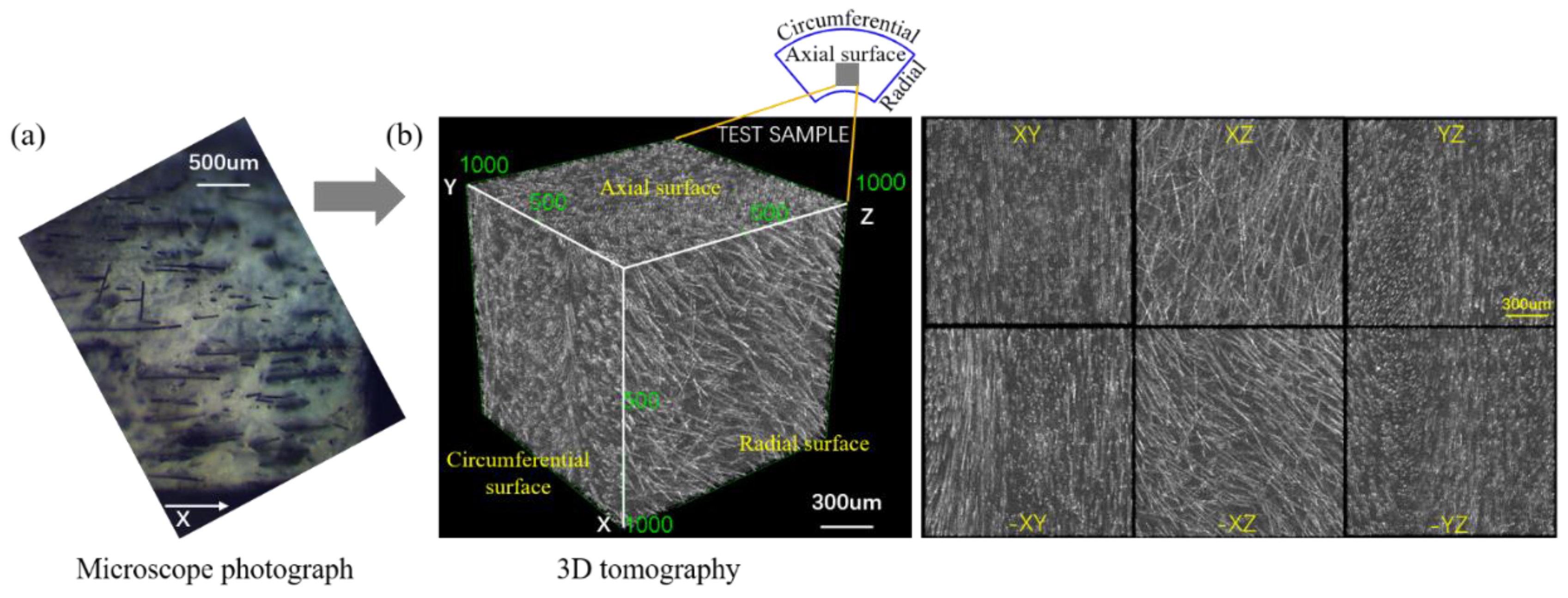 Polymers 12 00771 g013