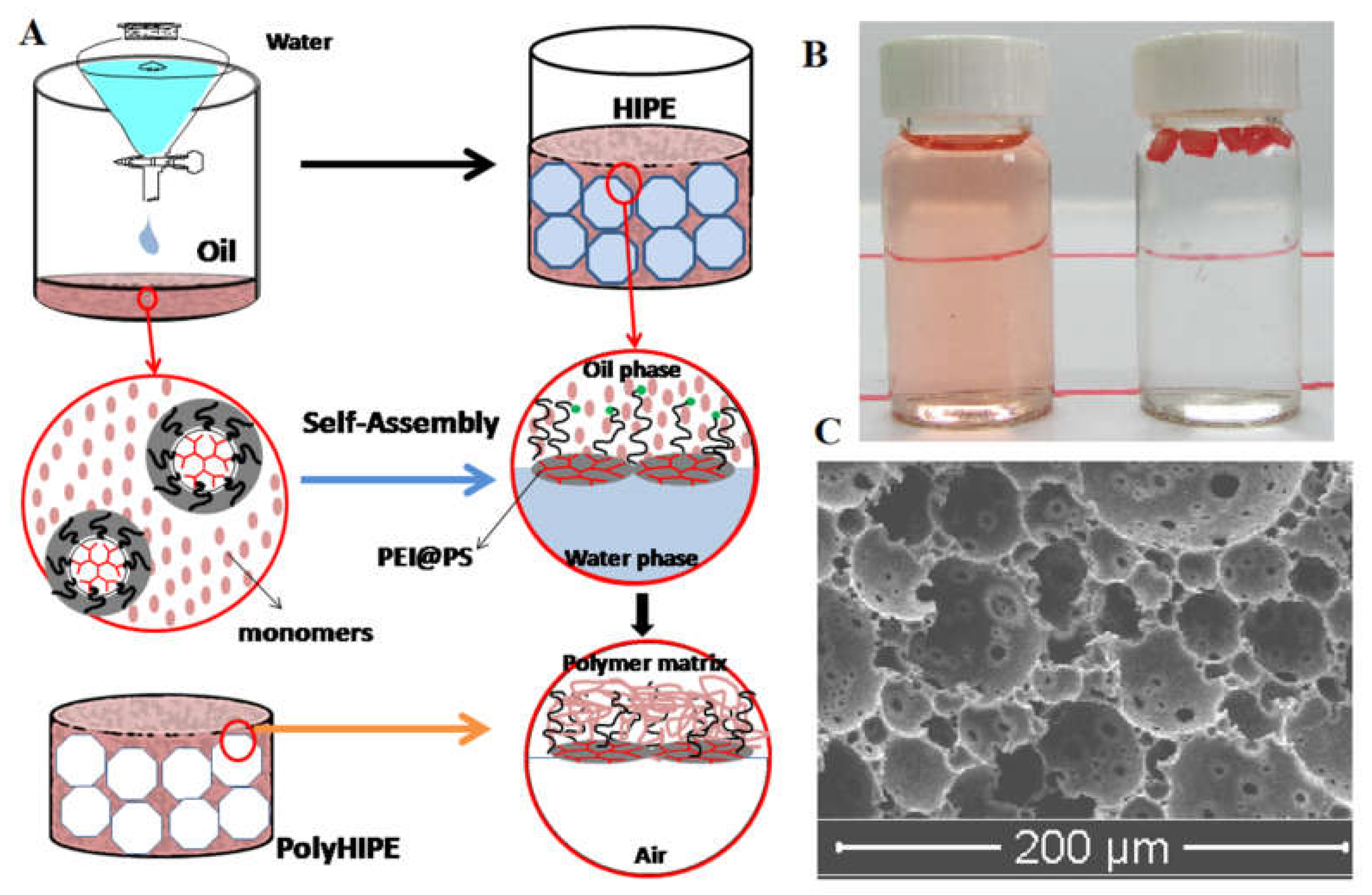 Polymers 12 00779 g004