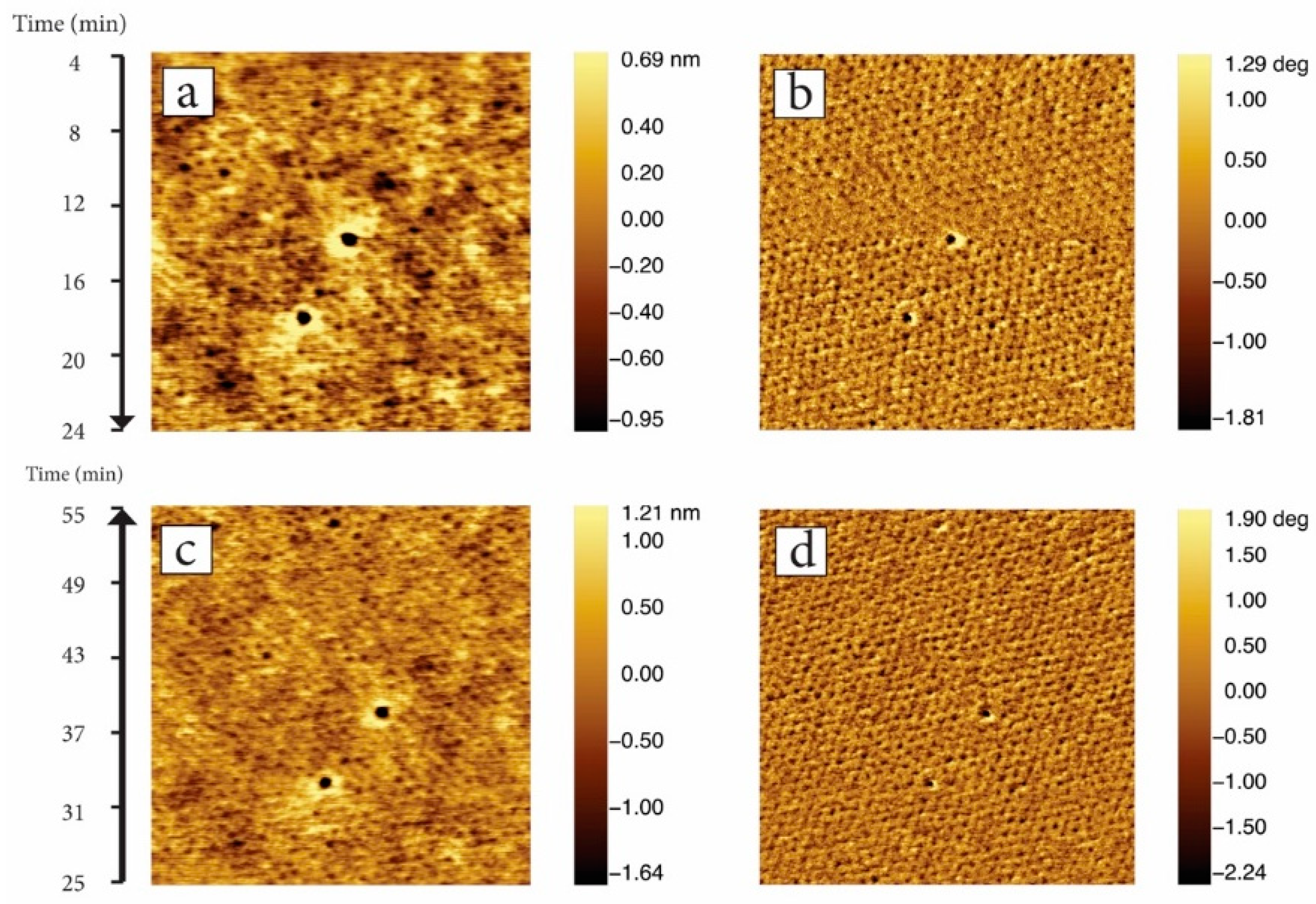 Polymers 12 00781 g011