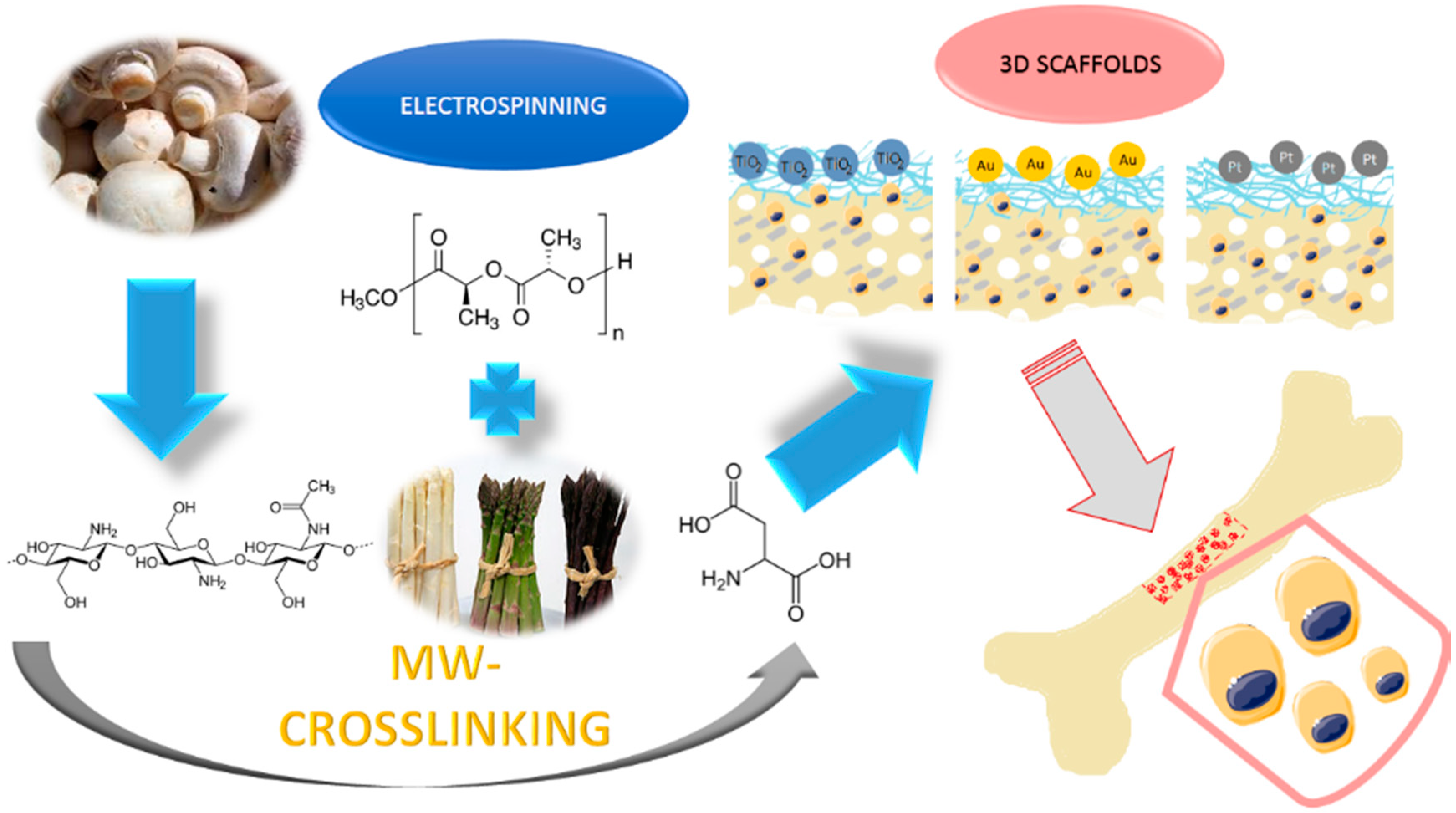 Polymers 12 00792 g001 Polymers 12 00792 g001