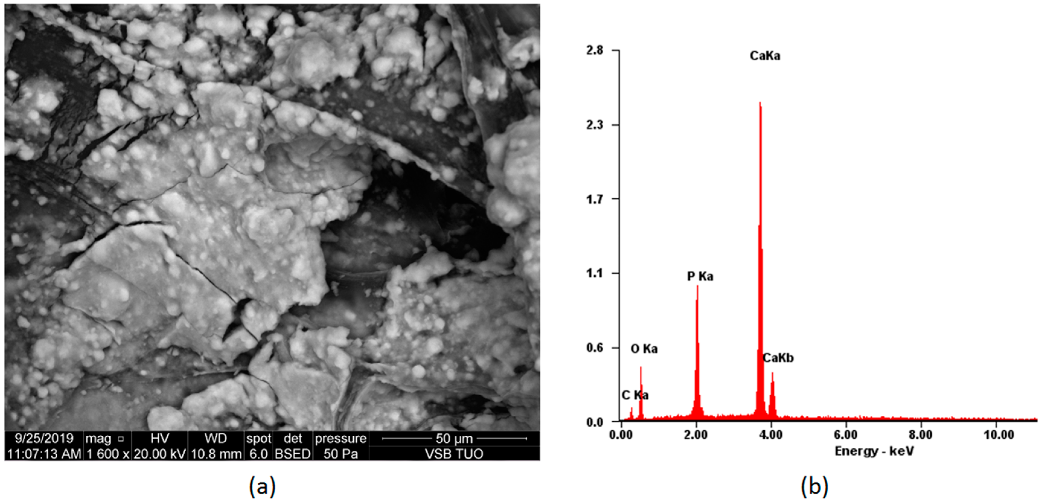 Polymers 12 00792 g008 Polymers 12 00792 g008