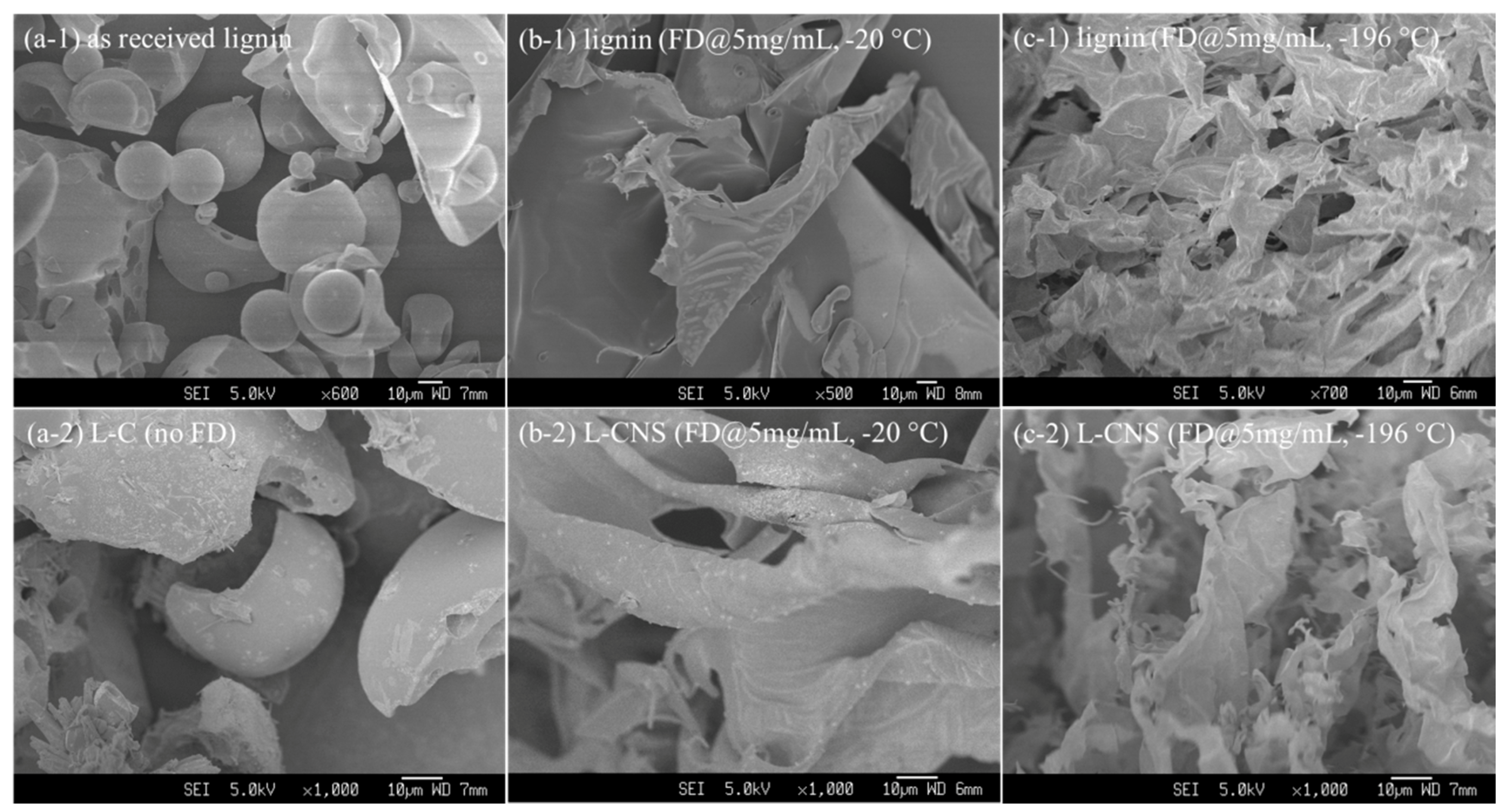 Polymers 12 00797 g001 Polymers 12 00797 g001