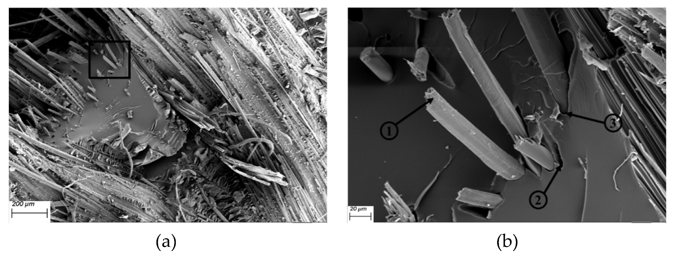 Polymers 12 00806 g013a Polymers 12 00806 g013a