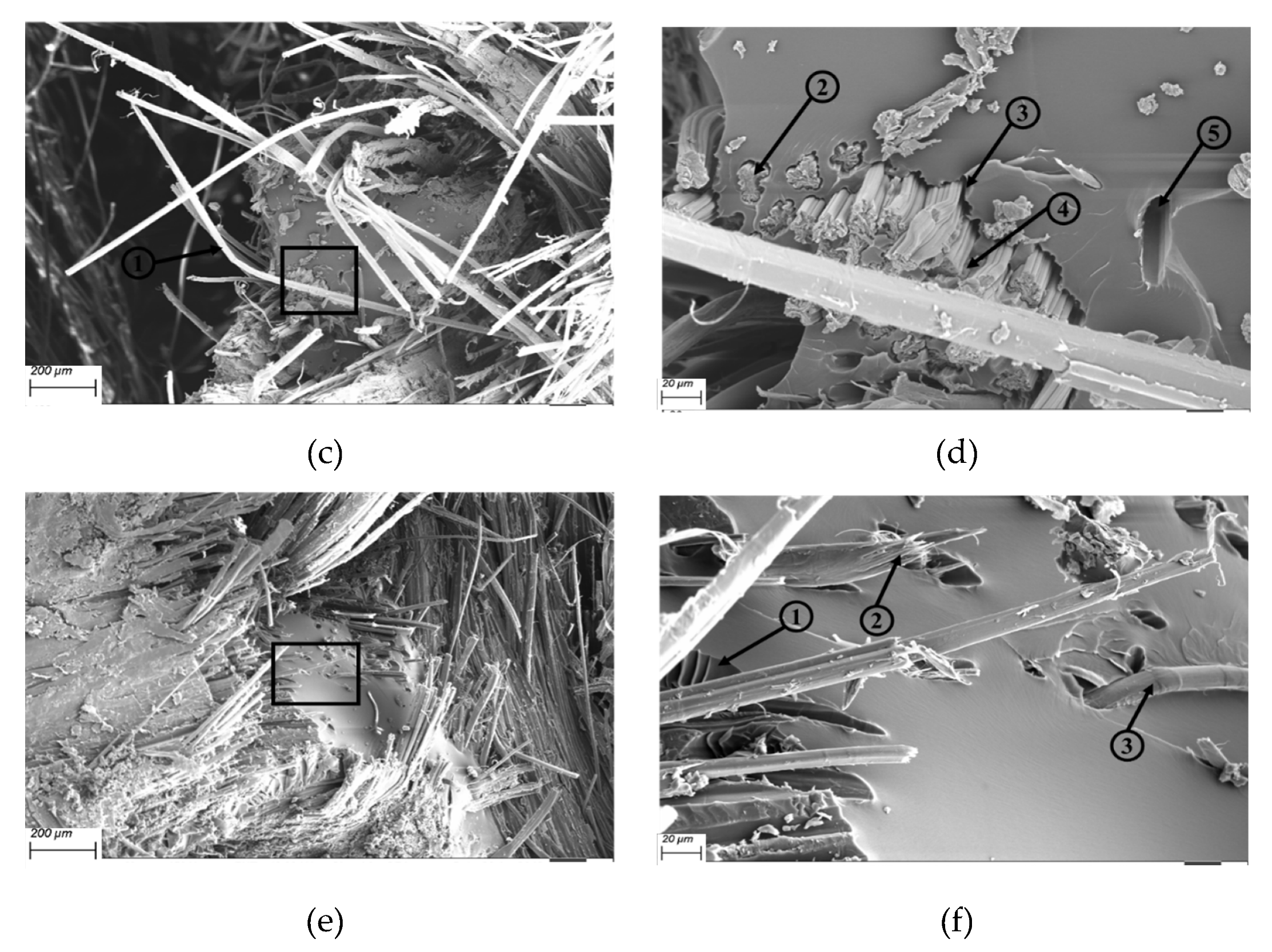 Polymers 12 00806 g013b Polymers 12 00806 g013b
