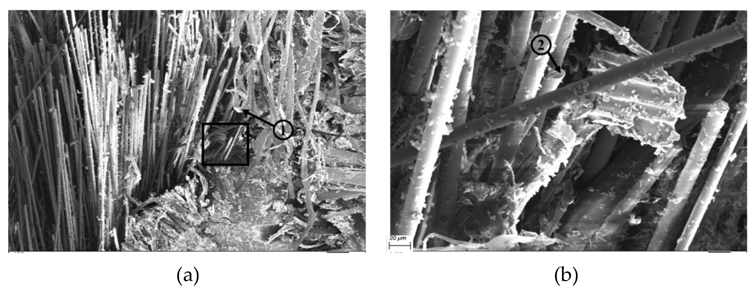 Polymers 12 00806 g014a Polymers 12 00806 g014a