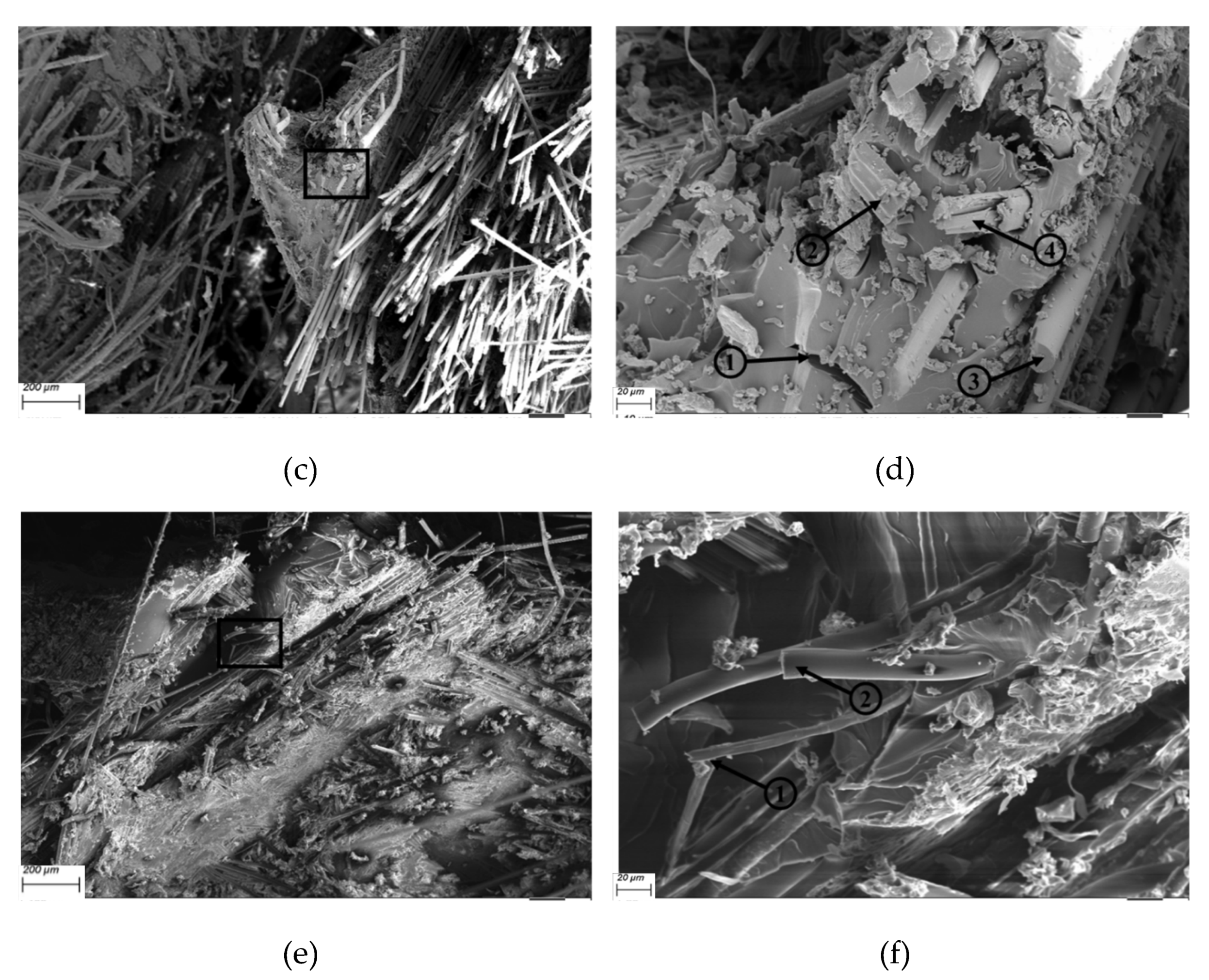 Polymers 12 00806 g014b Polymers 12 00806 g014b
