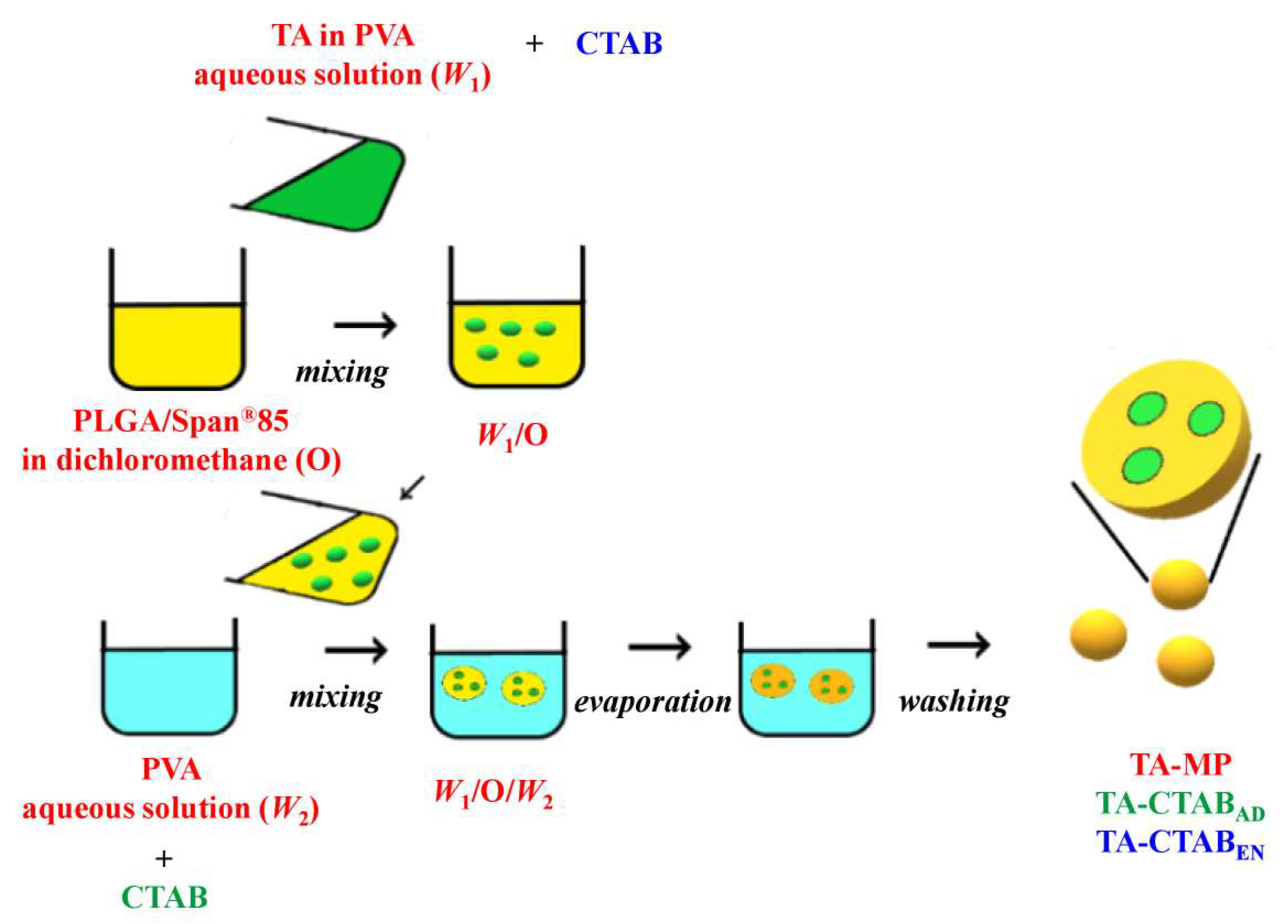 Polymers 12 00808 g001