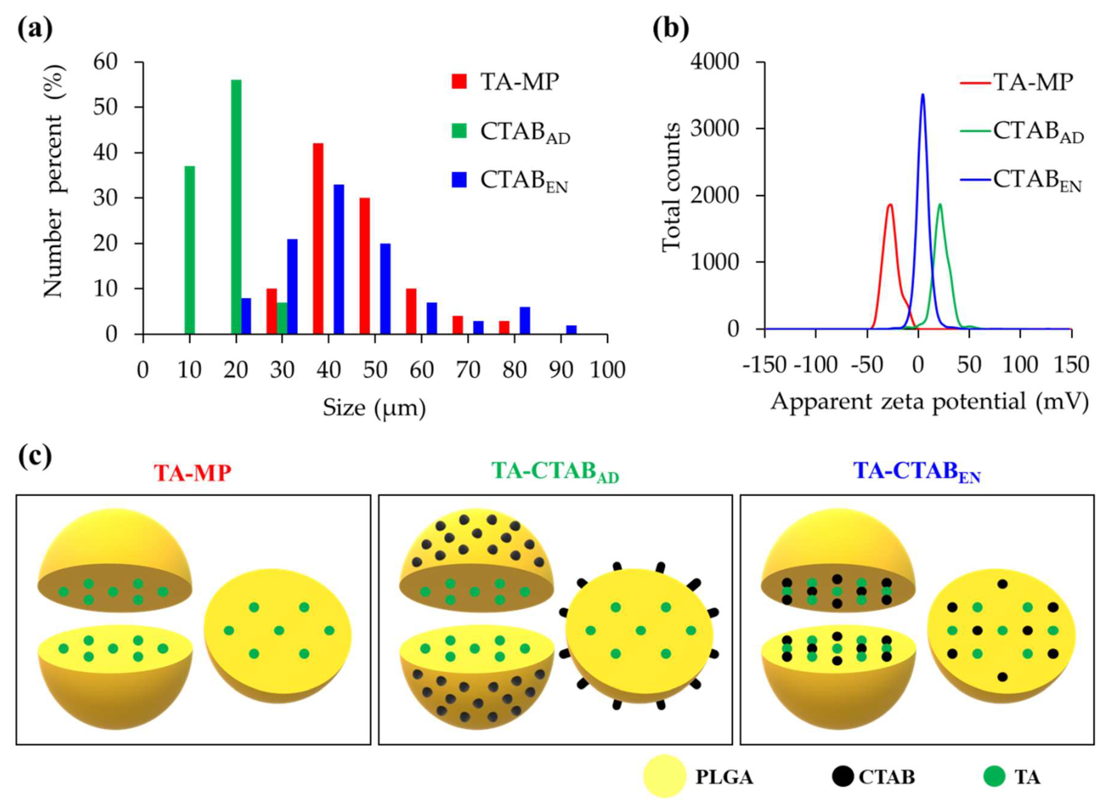 Polymers 12 00808 g003