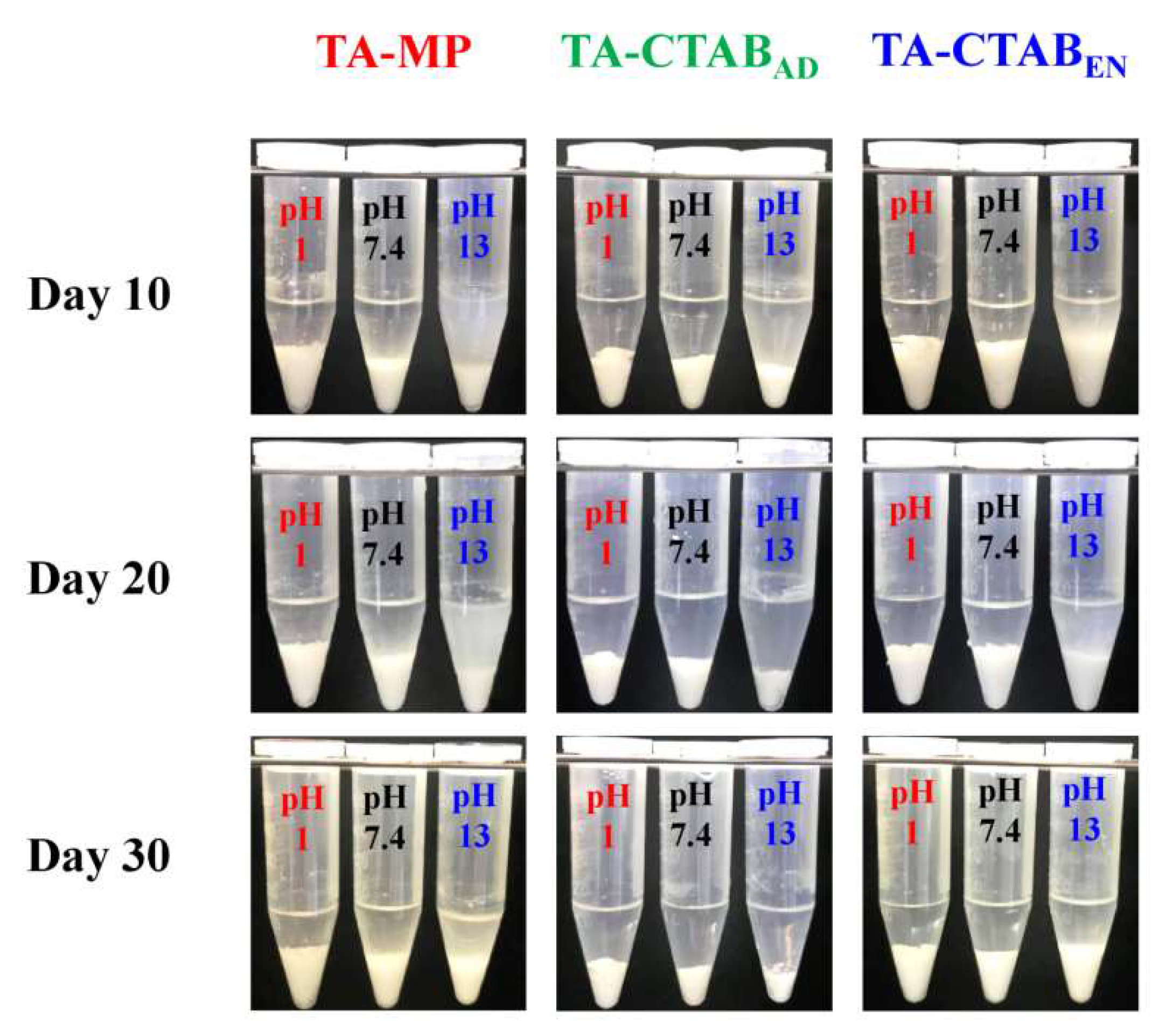 Polymers 12 00808 g007