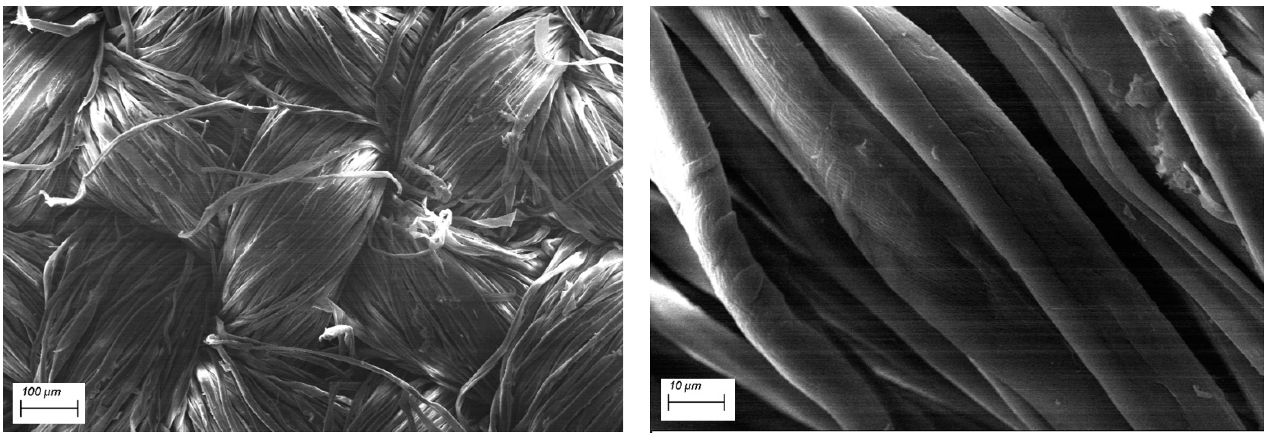 Polymers 12 00811 g002