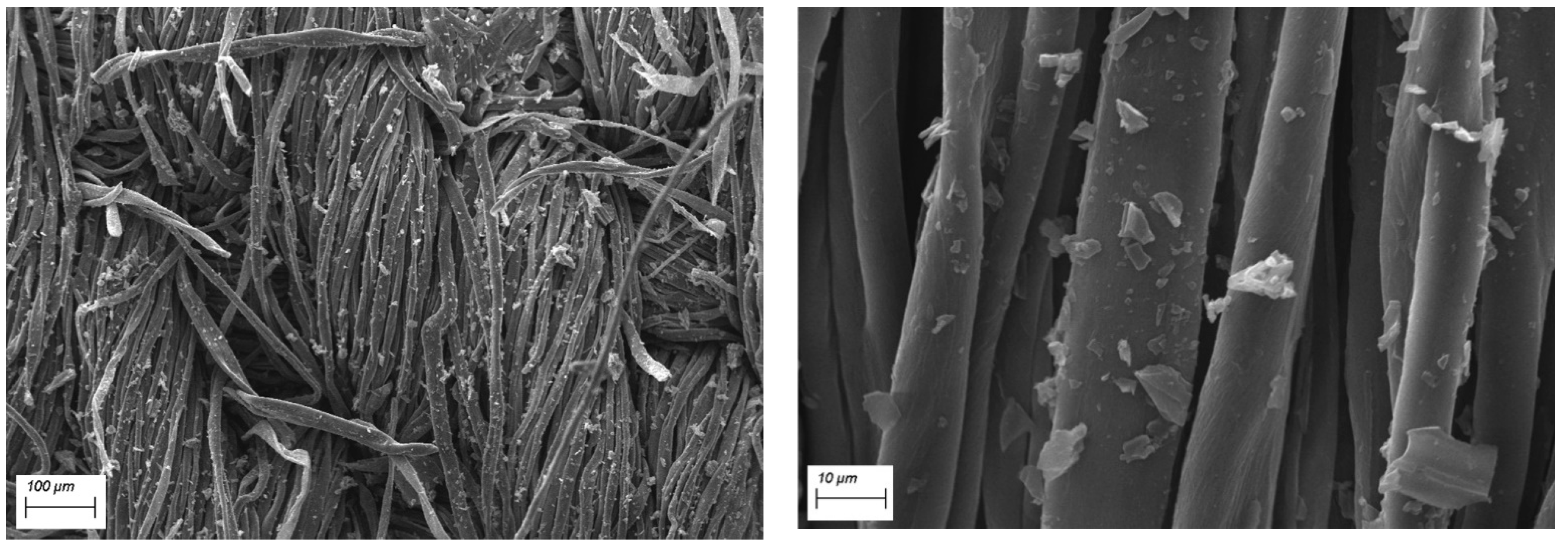 Polymers 12 00811 g003