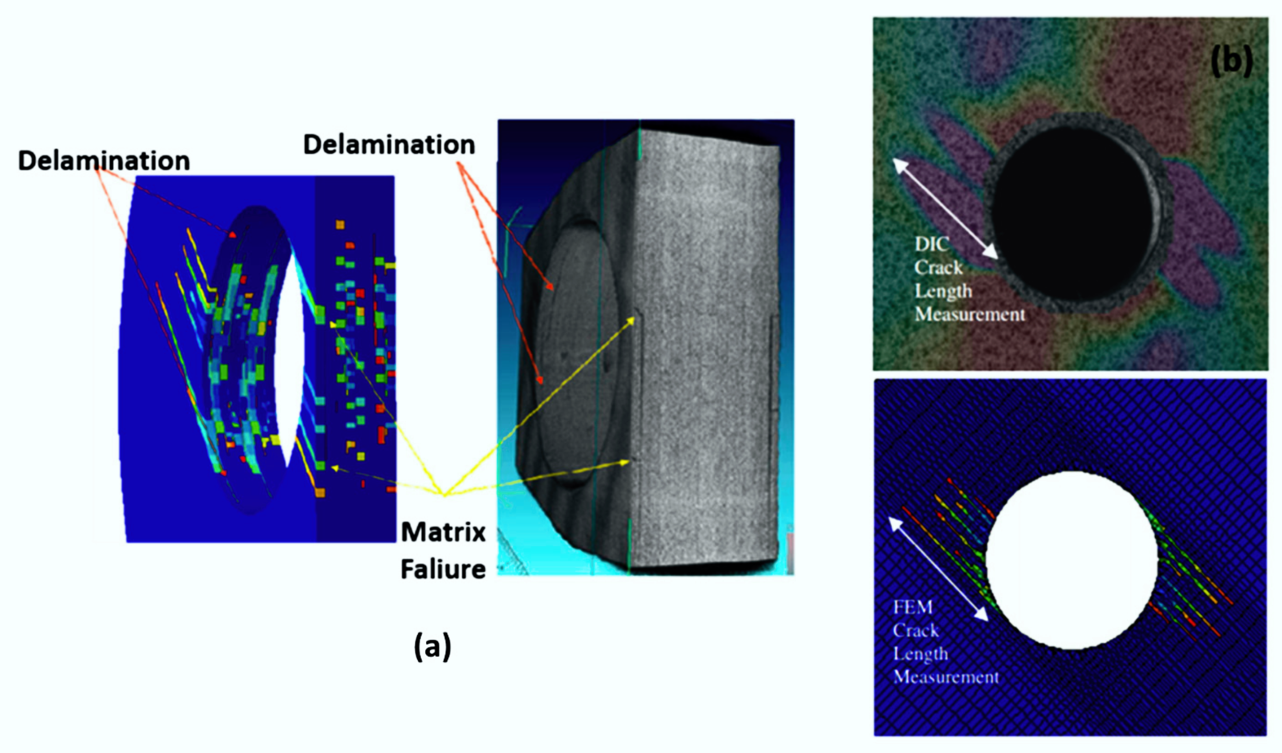 Polymers 12 00818 g047