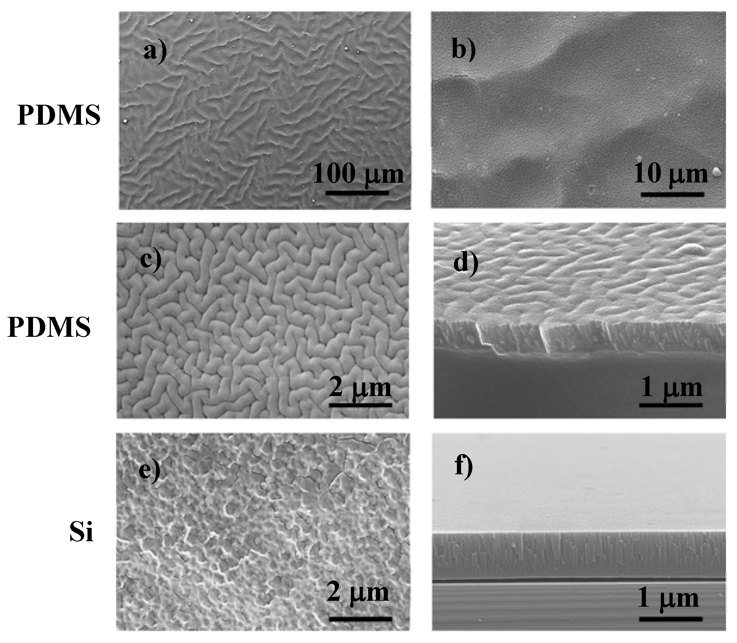 Polymers 12 00828 g002