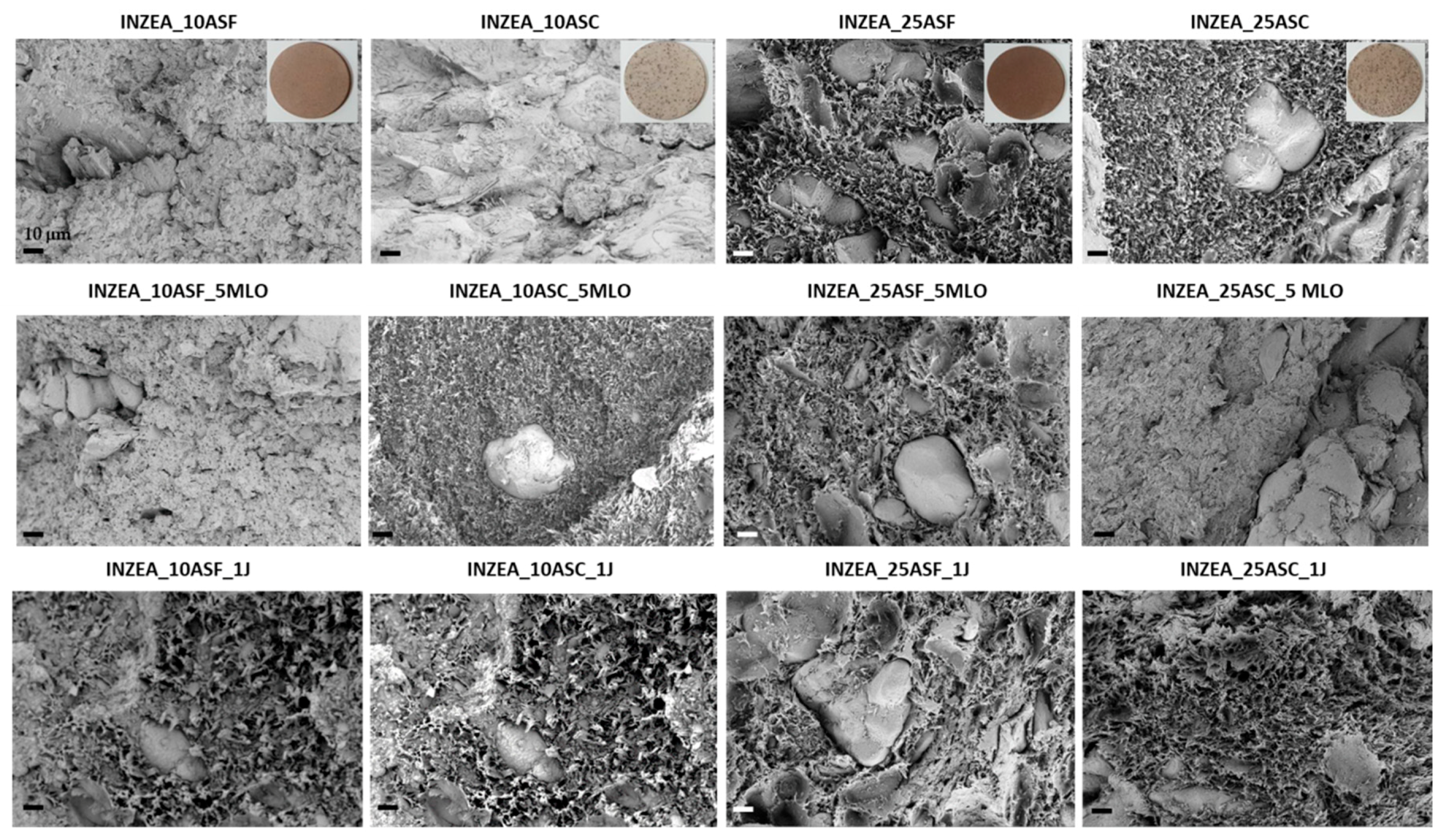 Polymers 12 00835 g004