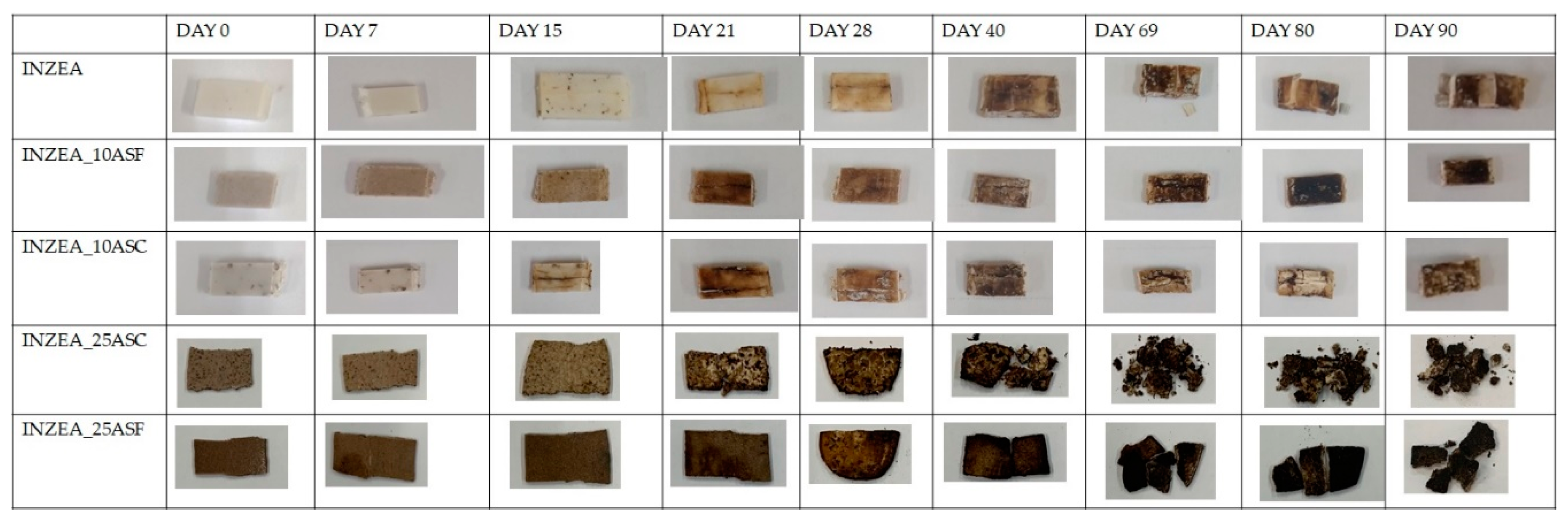 Polymers 12 00835 g006