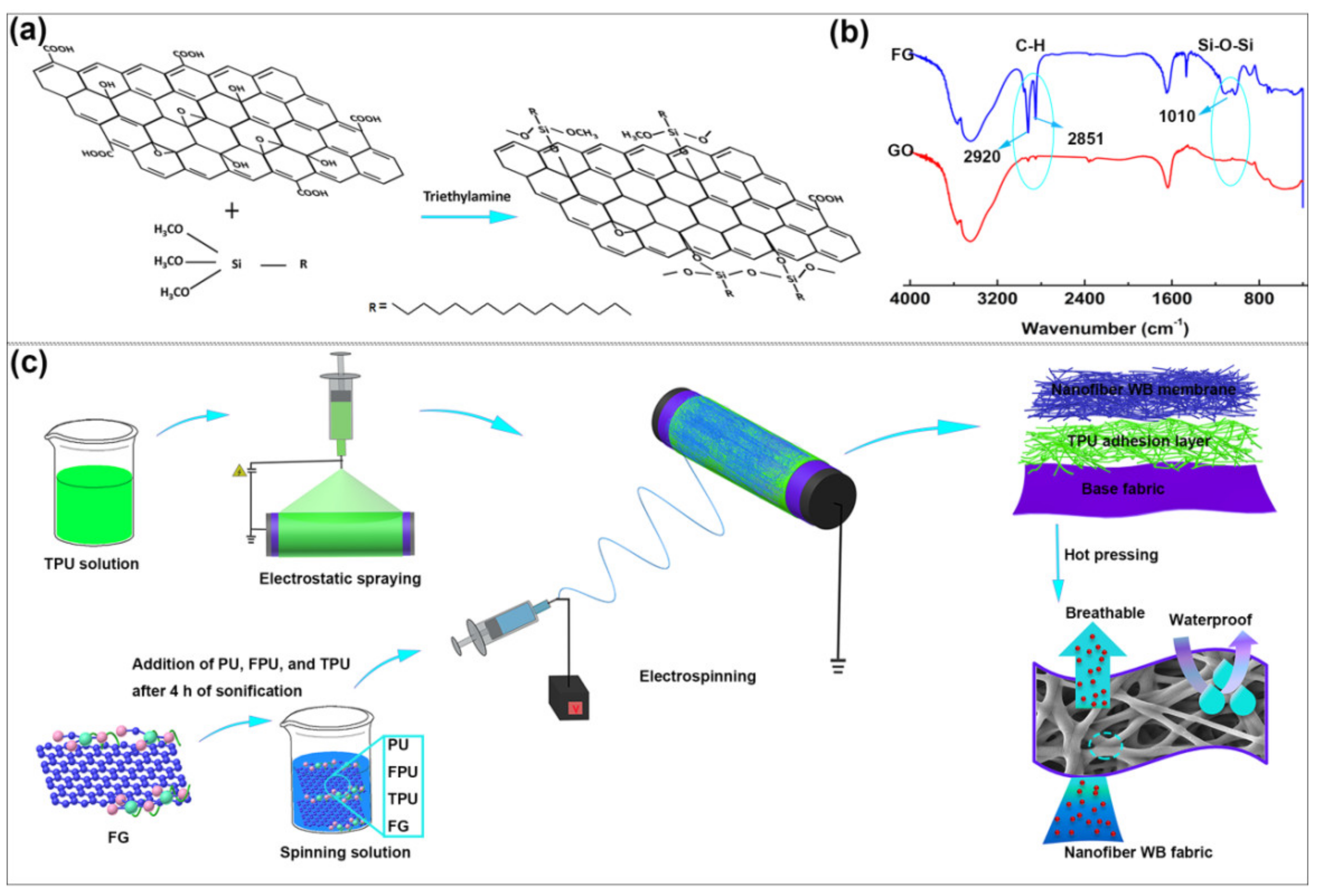 Polymers 12 00836 g001
