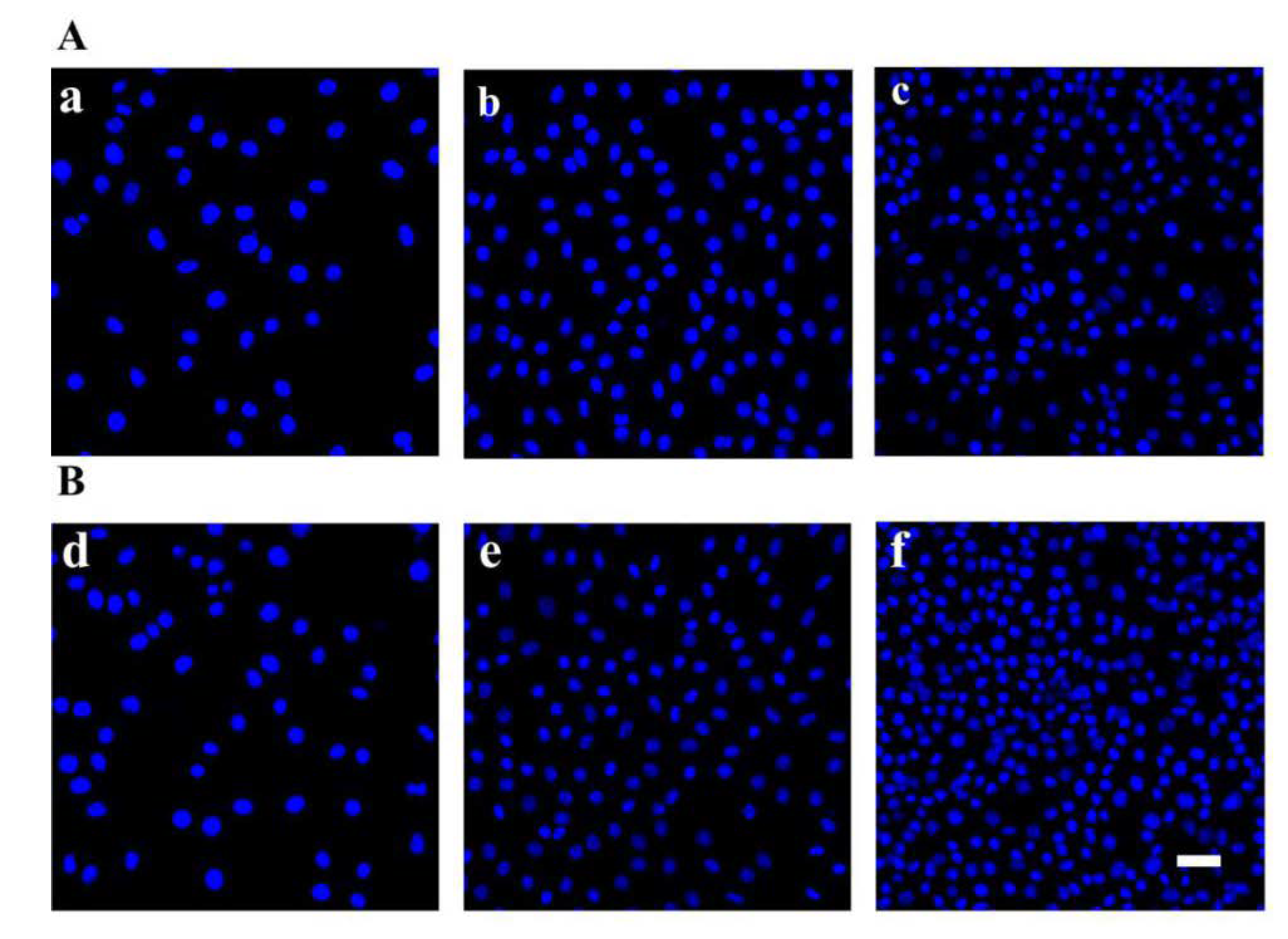 Polymers 12 00839 g005 Polymers 12 00839 g005