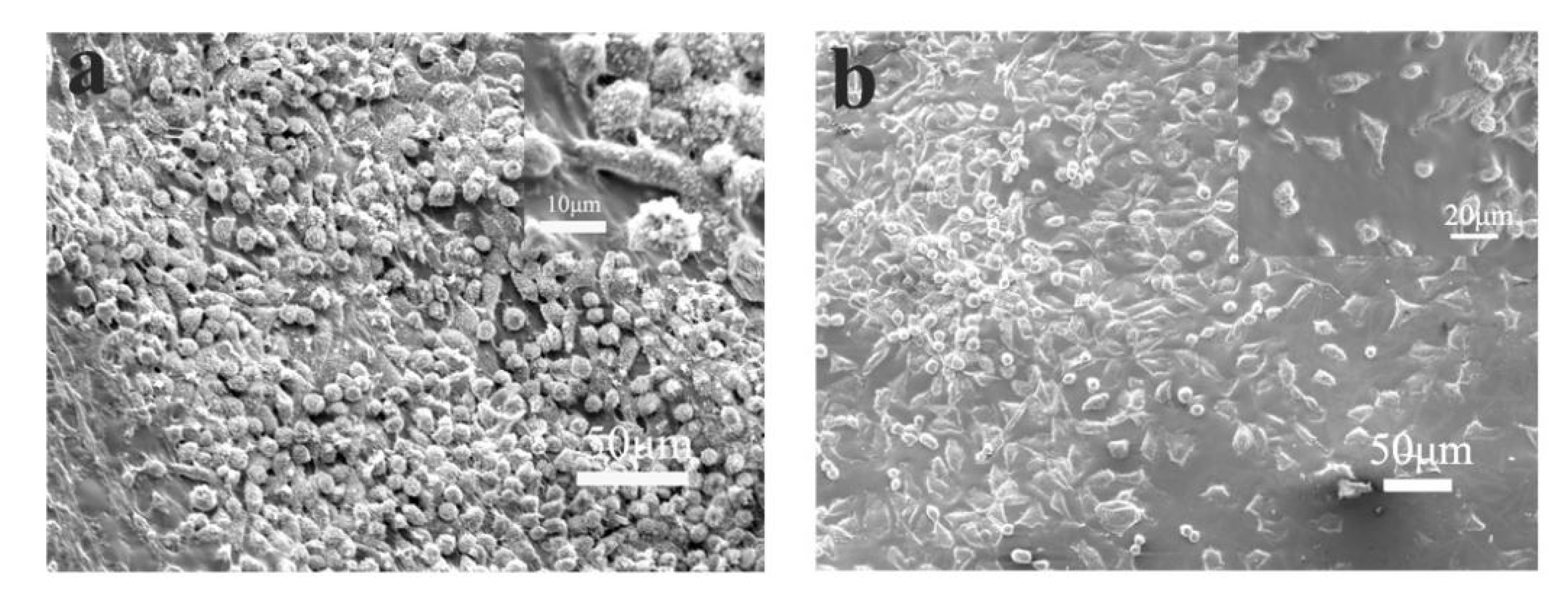 Polymers 12 00839 g007 Polymers 12 00839 g007