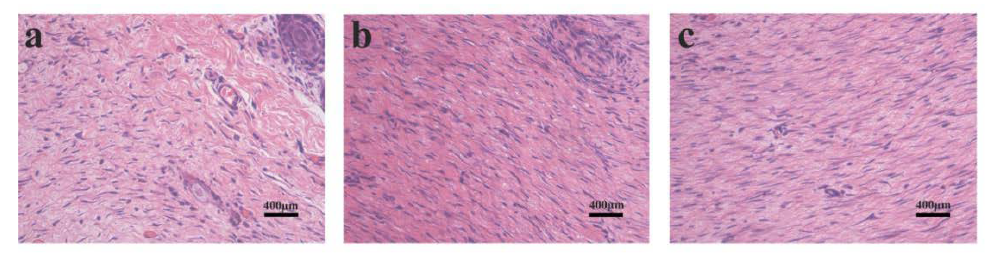 Polymers 12 00839 g009 Polymers 12 00839 g009