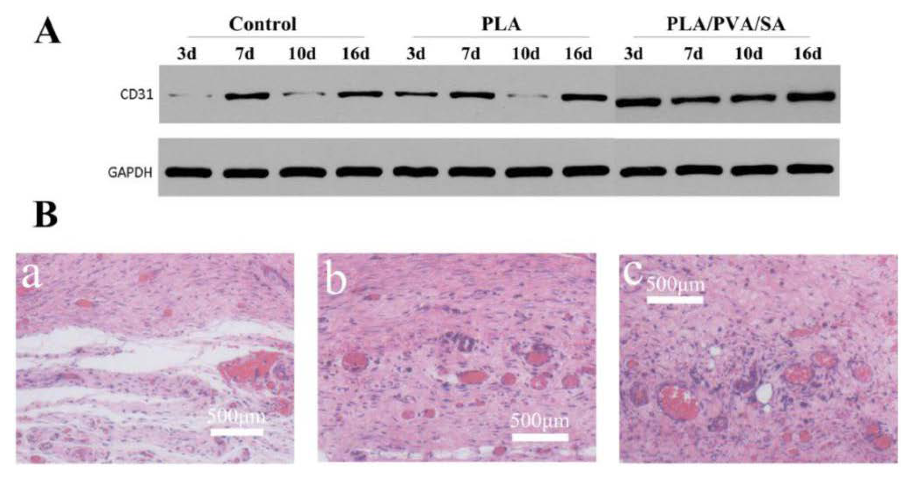 Polymers 12 00839 g011 Polymers 12 00839 g011