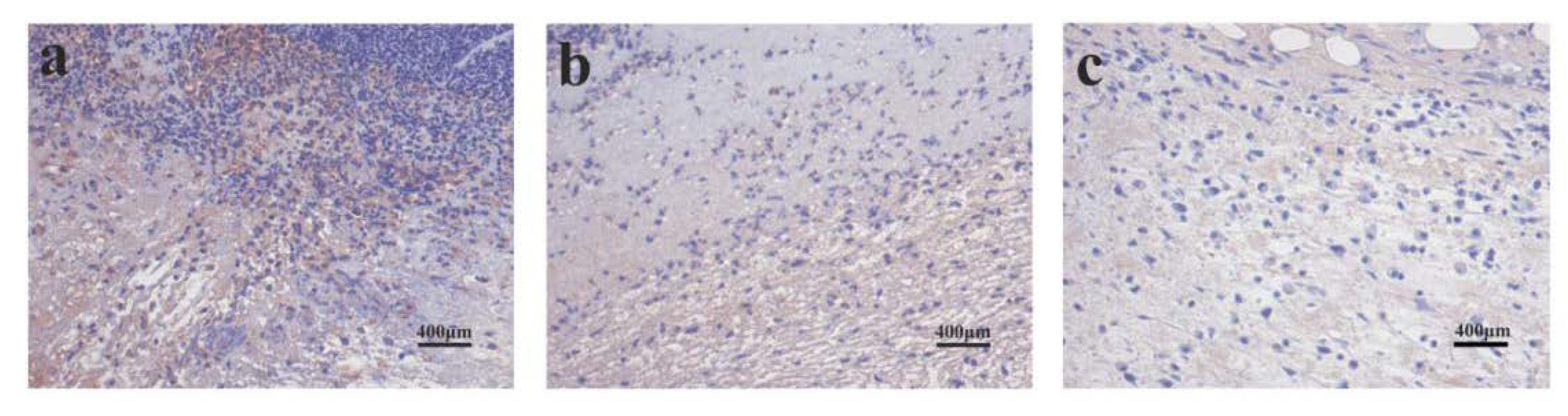 Polymers 12 00839 g012 Polymers 12 00839 g012