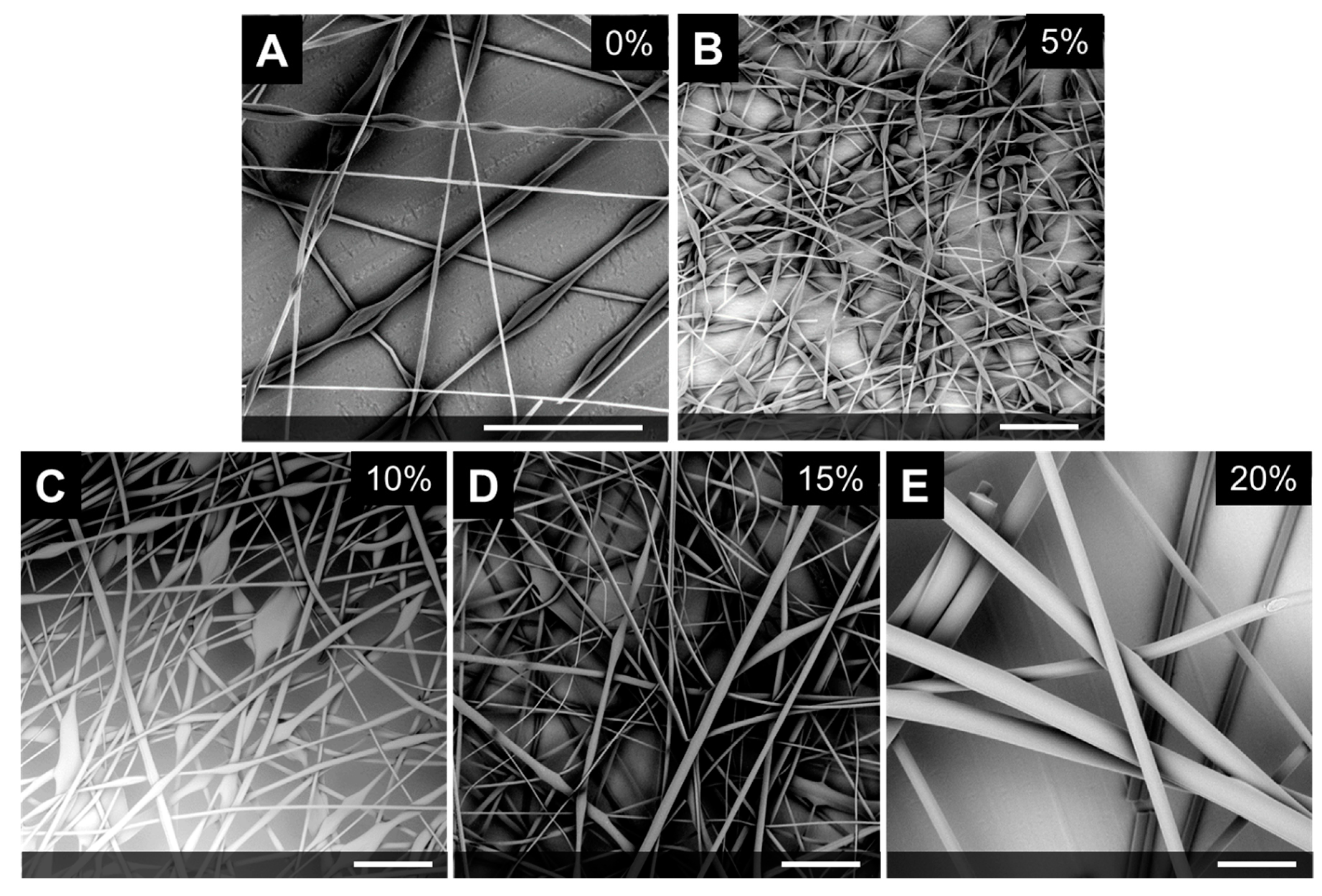 Polymers 12 00842 g001 Polymers 12 00842 g001