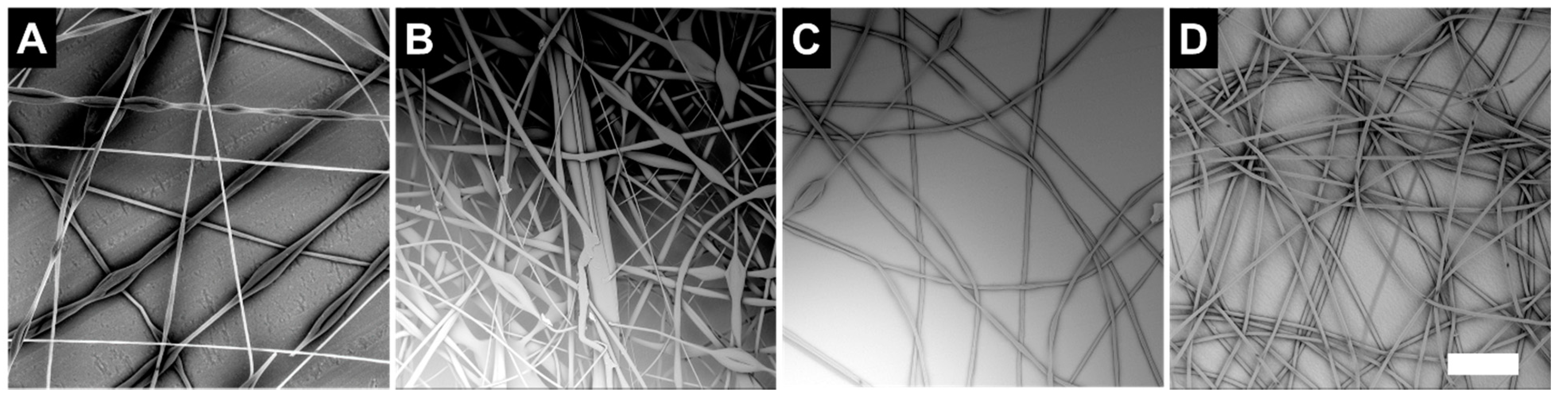 Polymers 12 00842 g002 Polymers 12 00842 g002