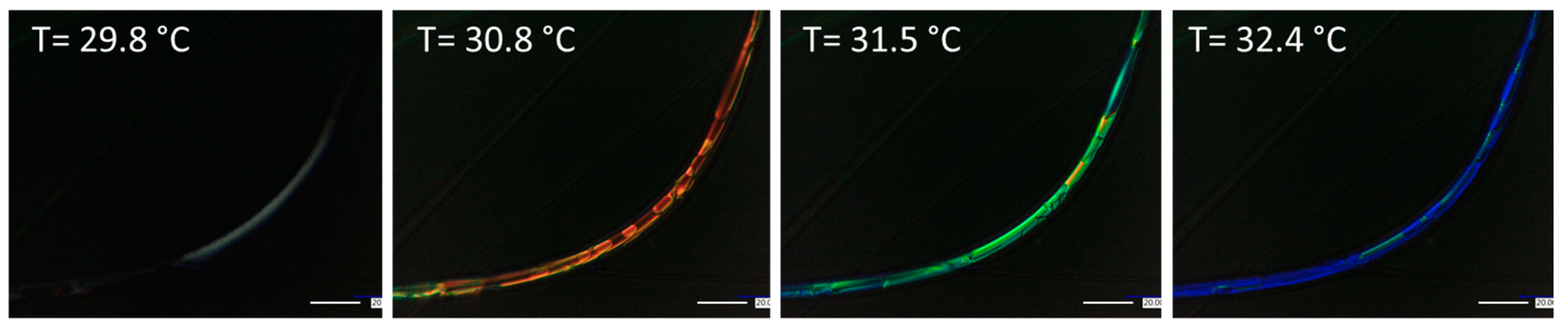 Polymers 12 00842 g008 Polymers 12 00842 g008