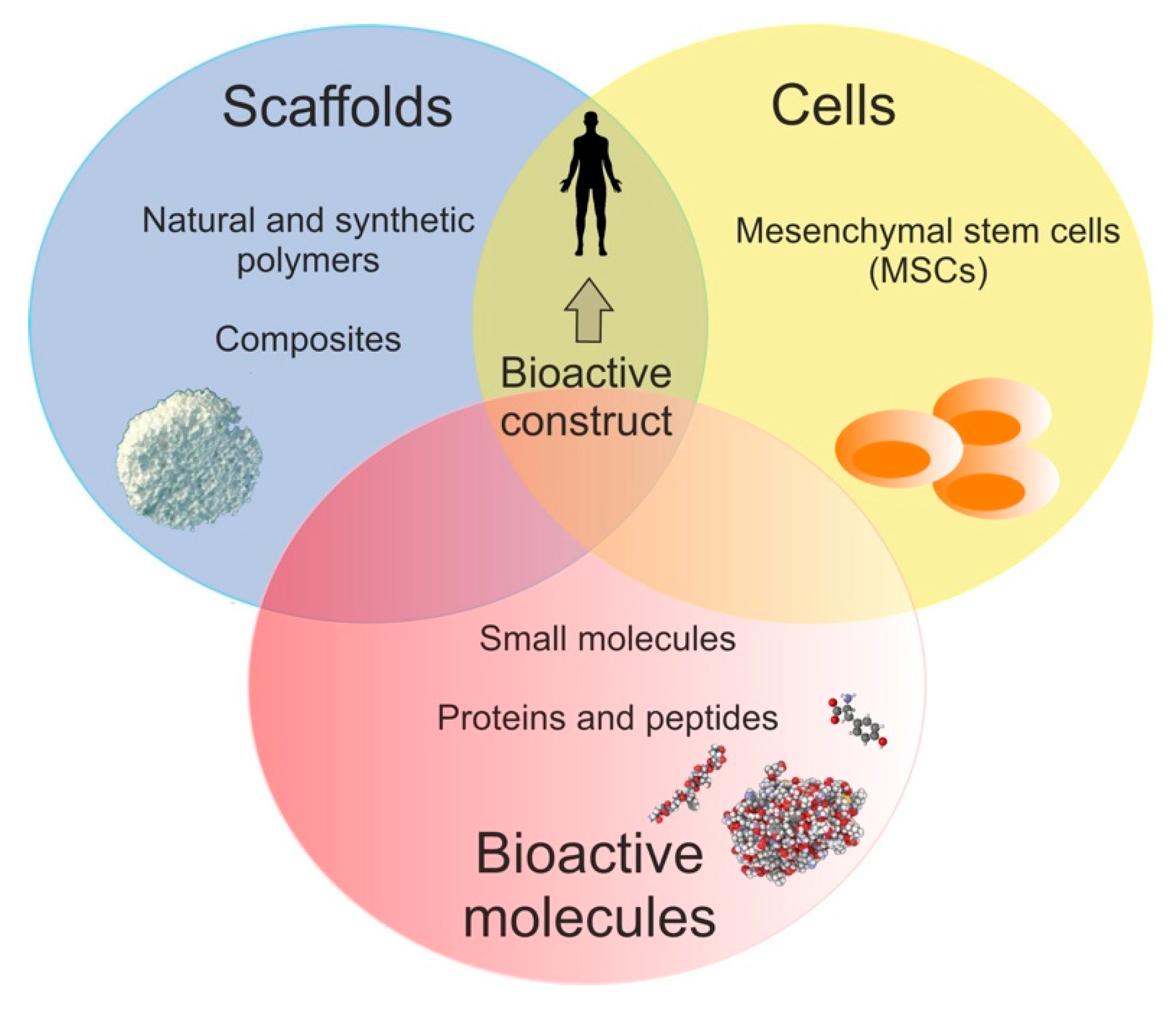 Polymers 12 00844 g001 Polymers 12 00844 g001