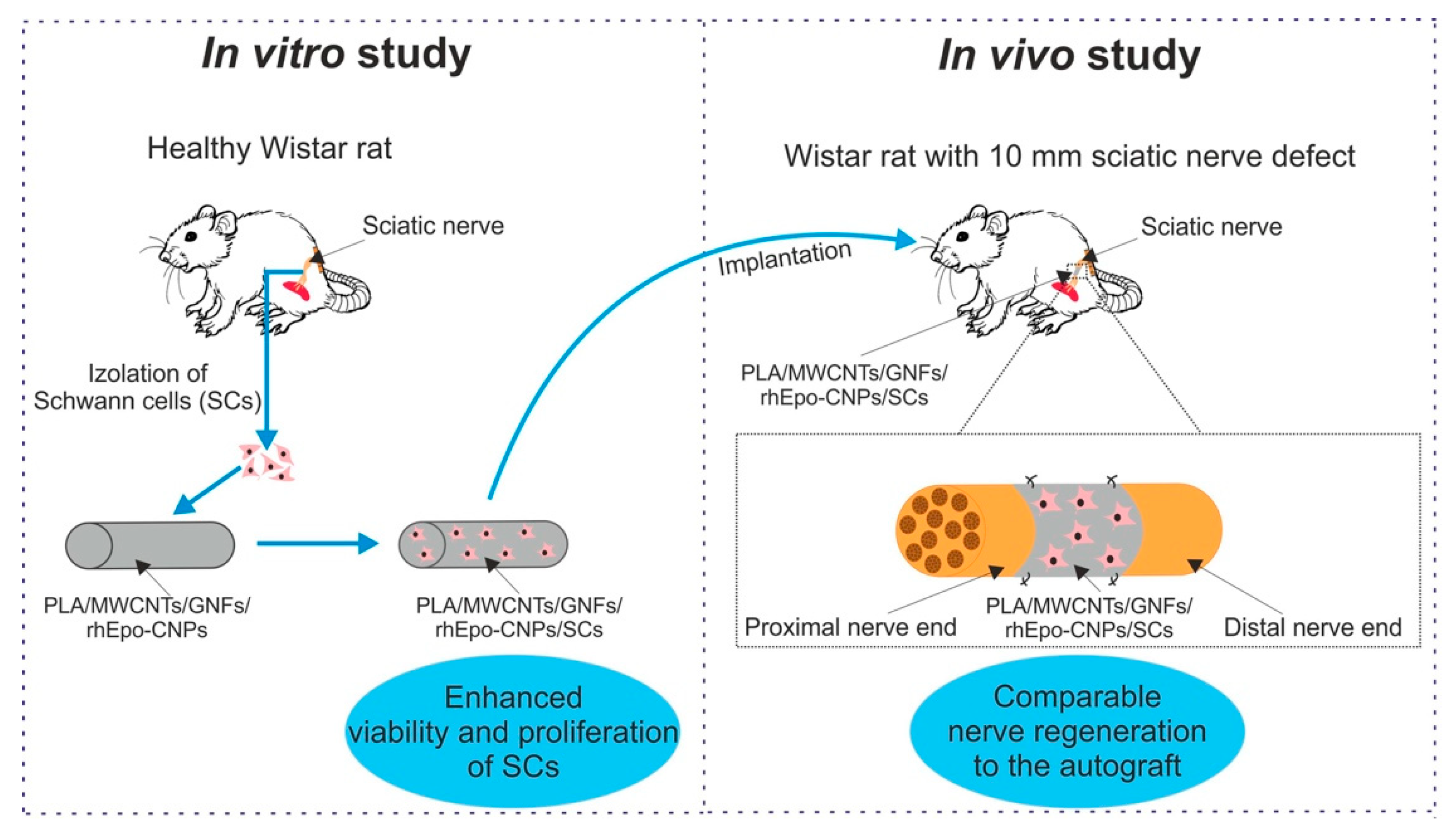 Polymers 12 00844 g004 Polymers 12 00844 g004