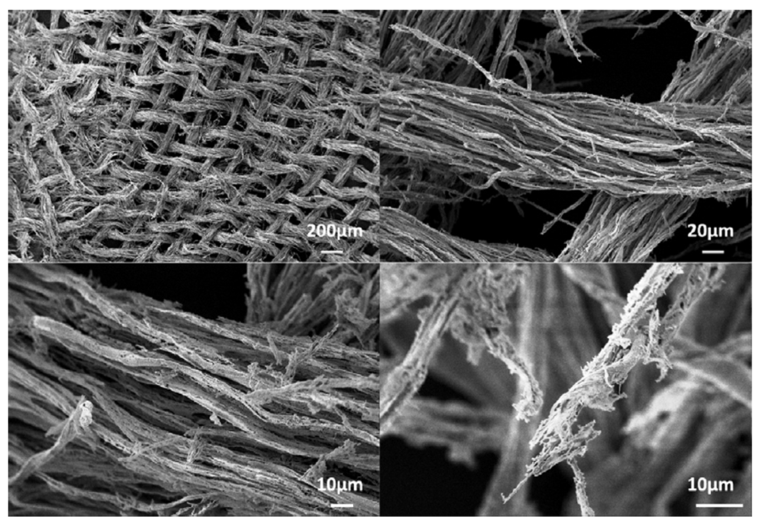 Polymers 12 00849 g005