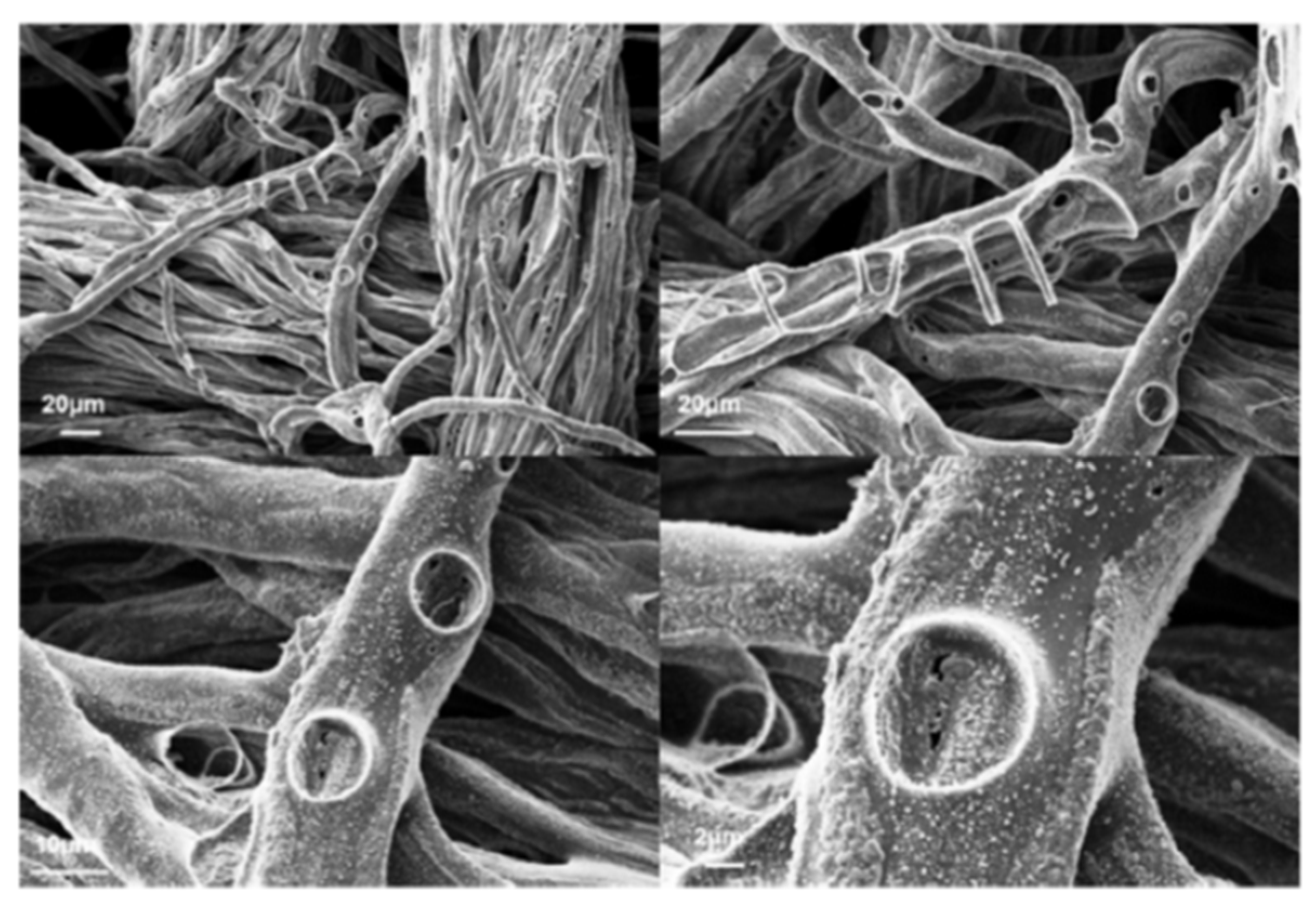 Polymers 12 00849 g008